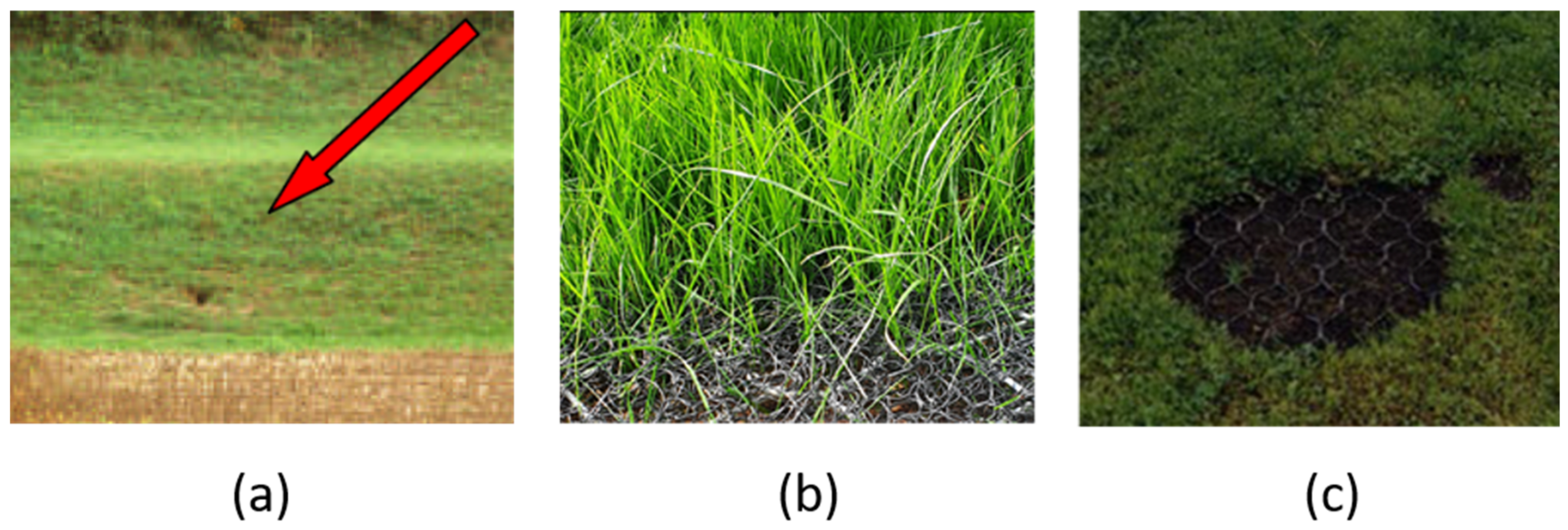 Sustainability 13 04445 g023