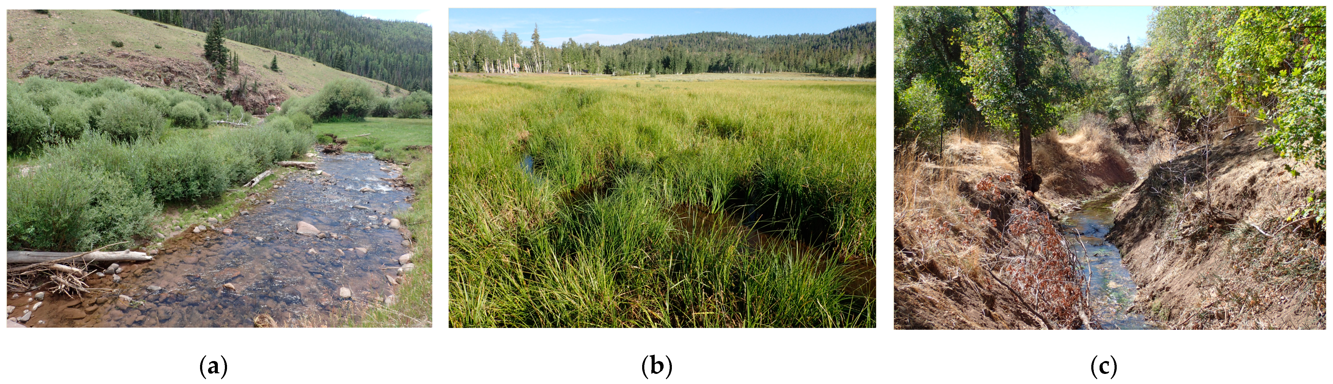 Fen Mapping - Colorado Wetland Information Center