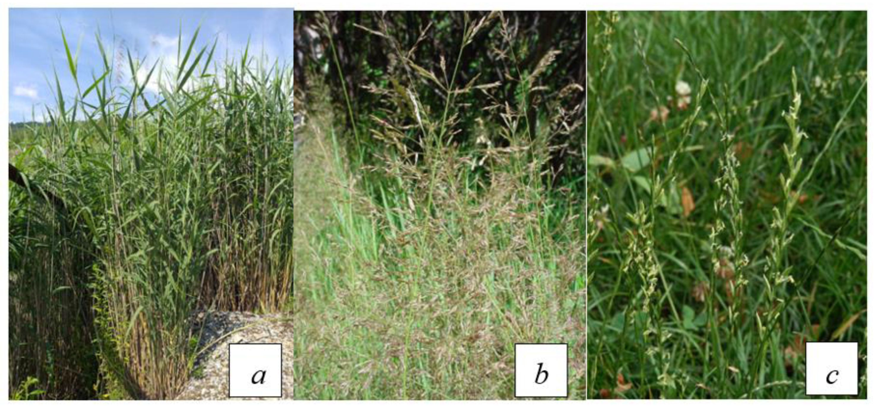 Sustainability 13 04508 g002 Sustainability 13 04508 g002