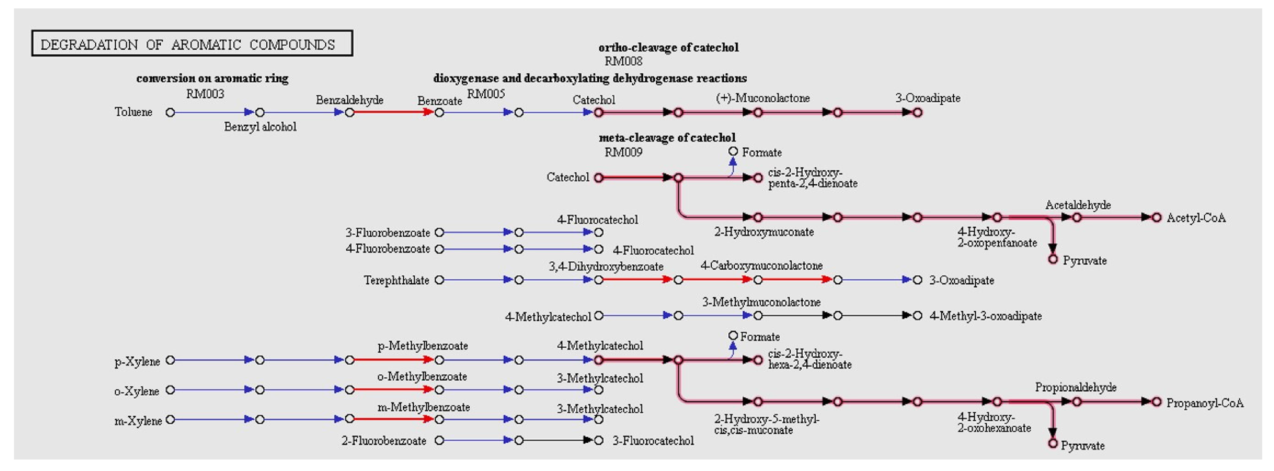 Sustainability 13 04590 g003