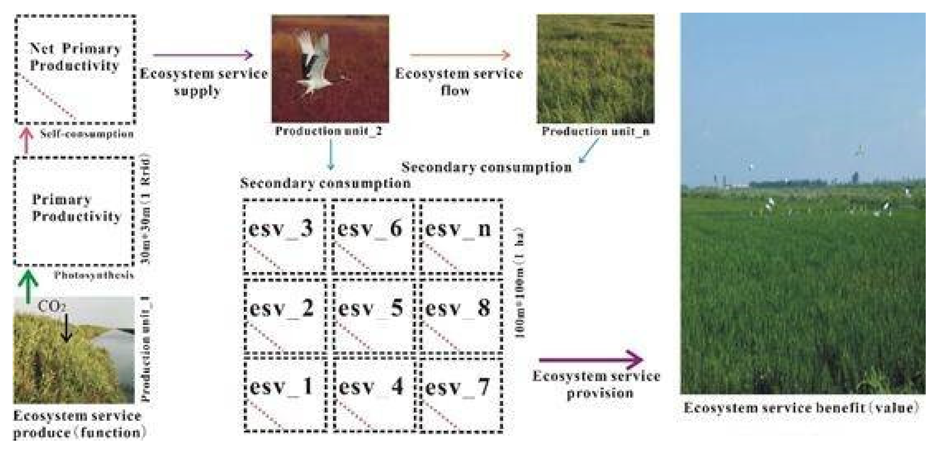 Sustainability 13 04630 g005 Sustainability 13 04630 g005