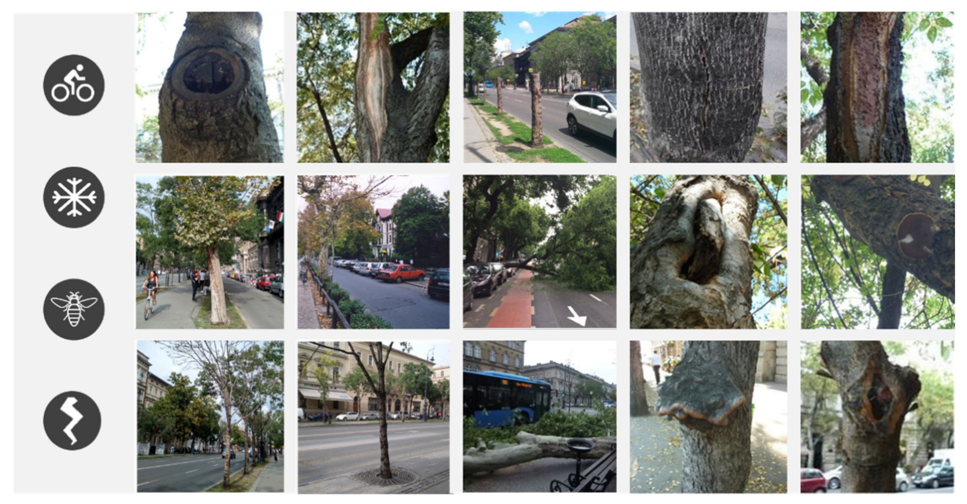 Sustainability 13 04699 g015