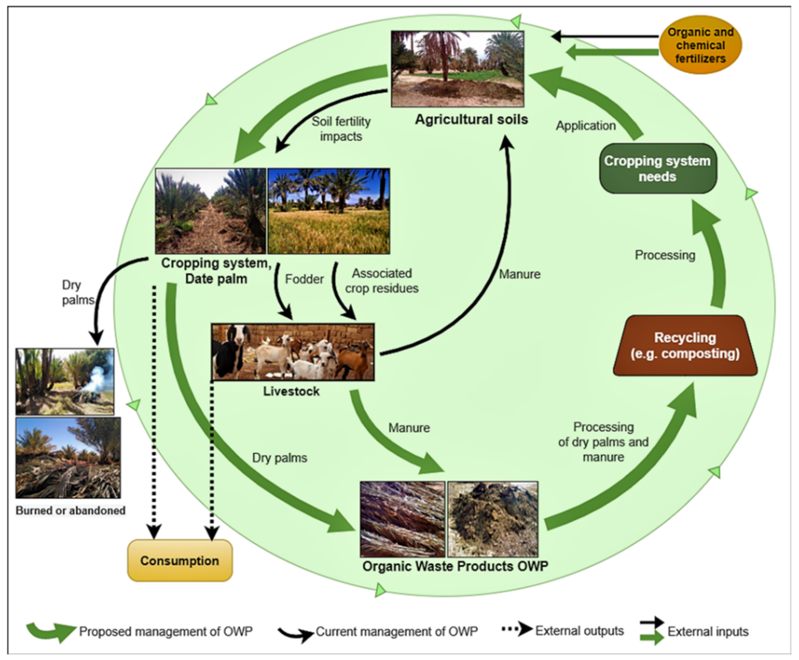 Sustainability 13 04713 g002