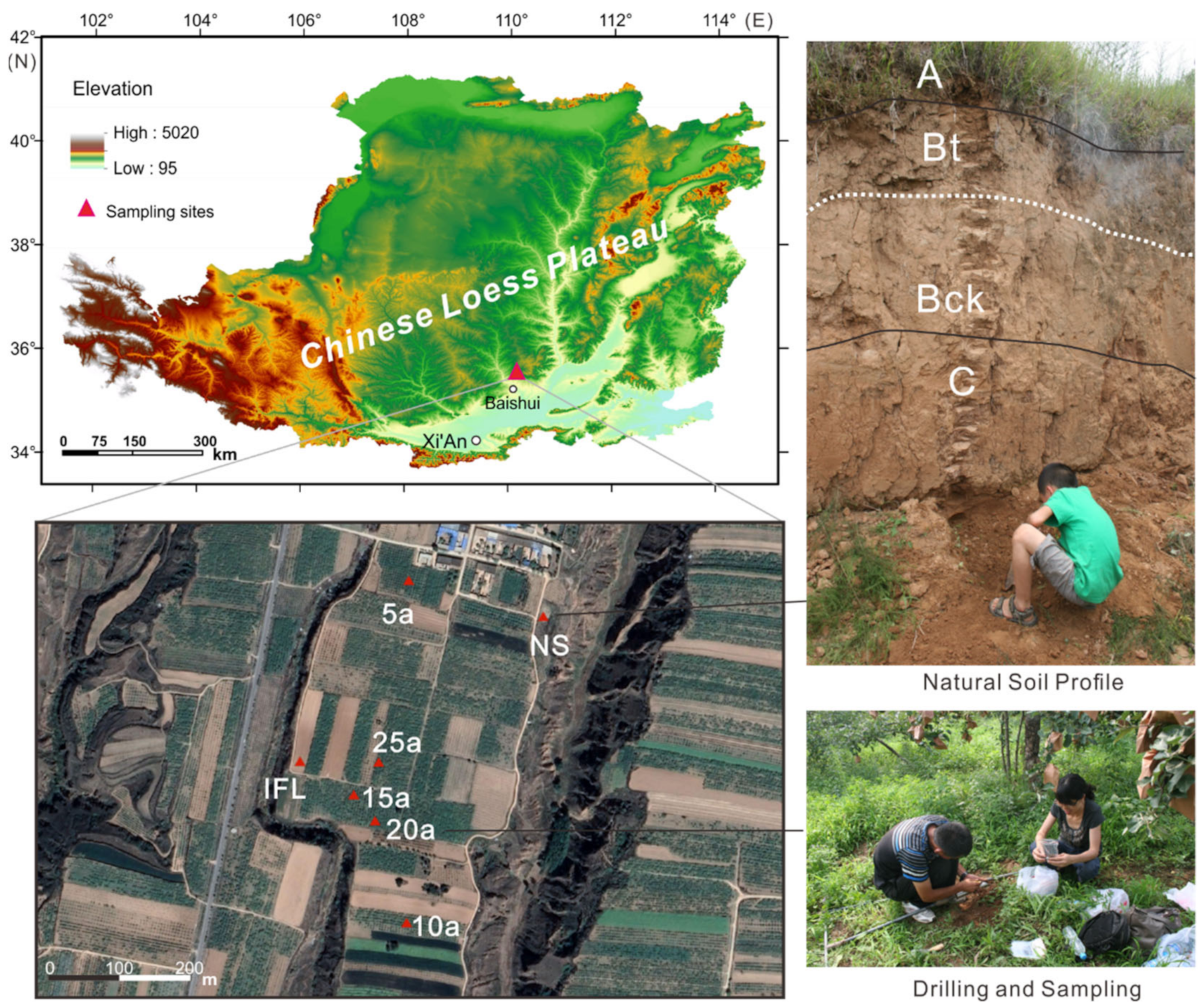 Sustainability 13 04741 g001