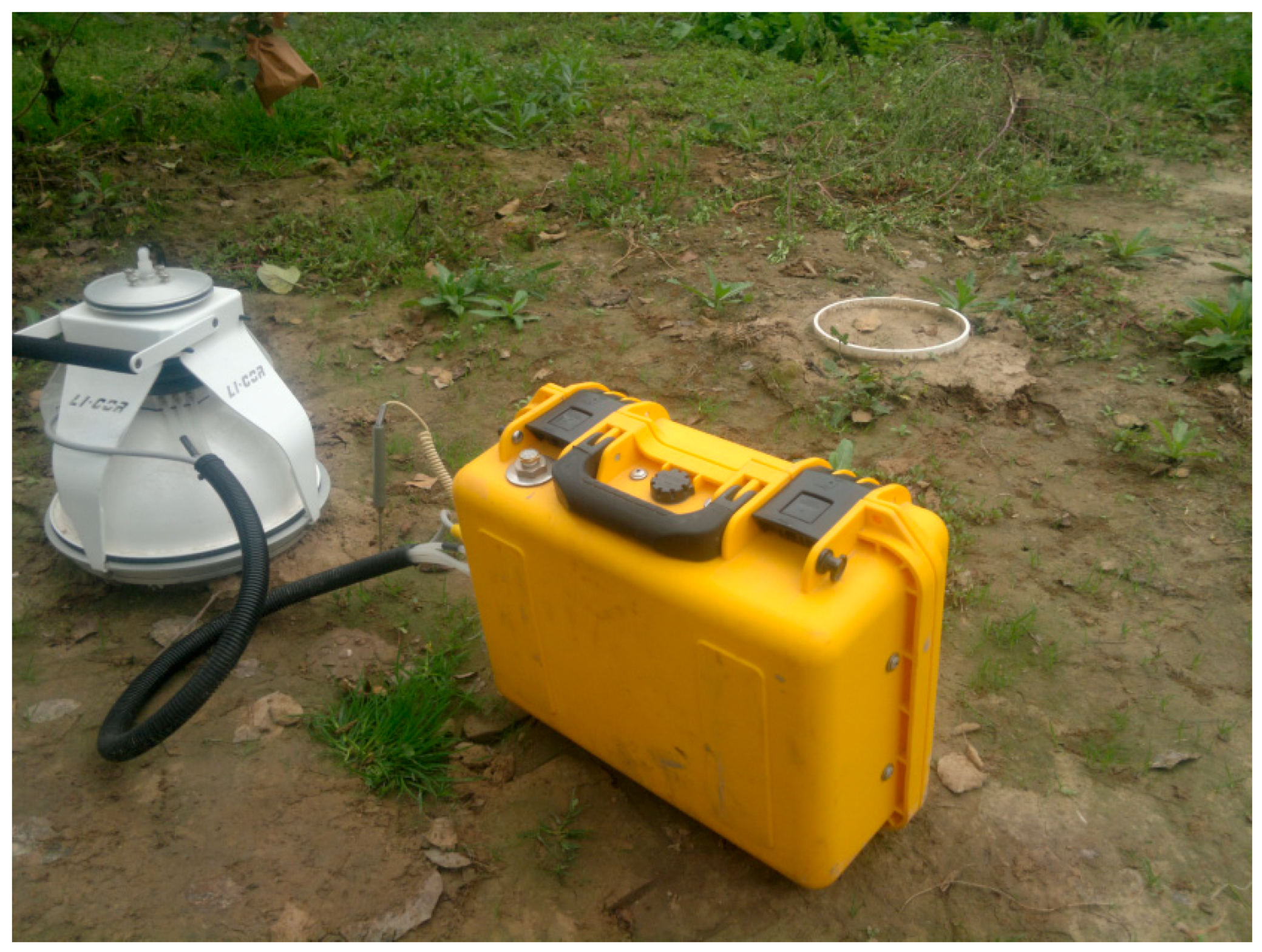 Sustainability 13 04780 g004 Sustainability 13 04780 g004