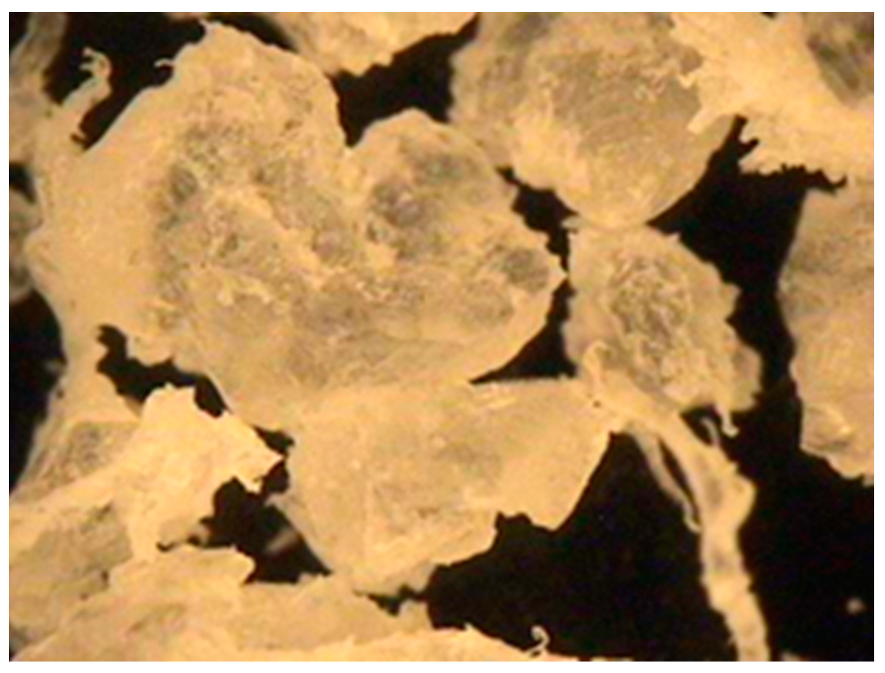 Sustainability 13 04797 g003 Sustainability 13 04797 g003