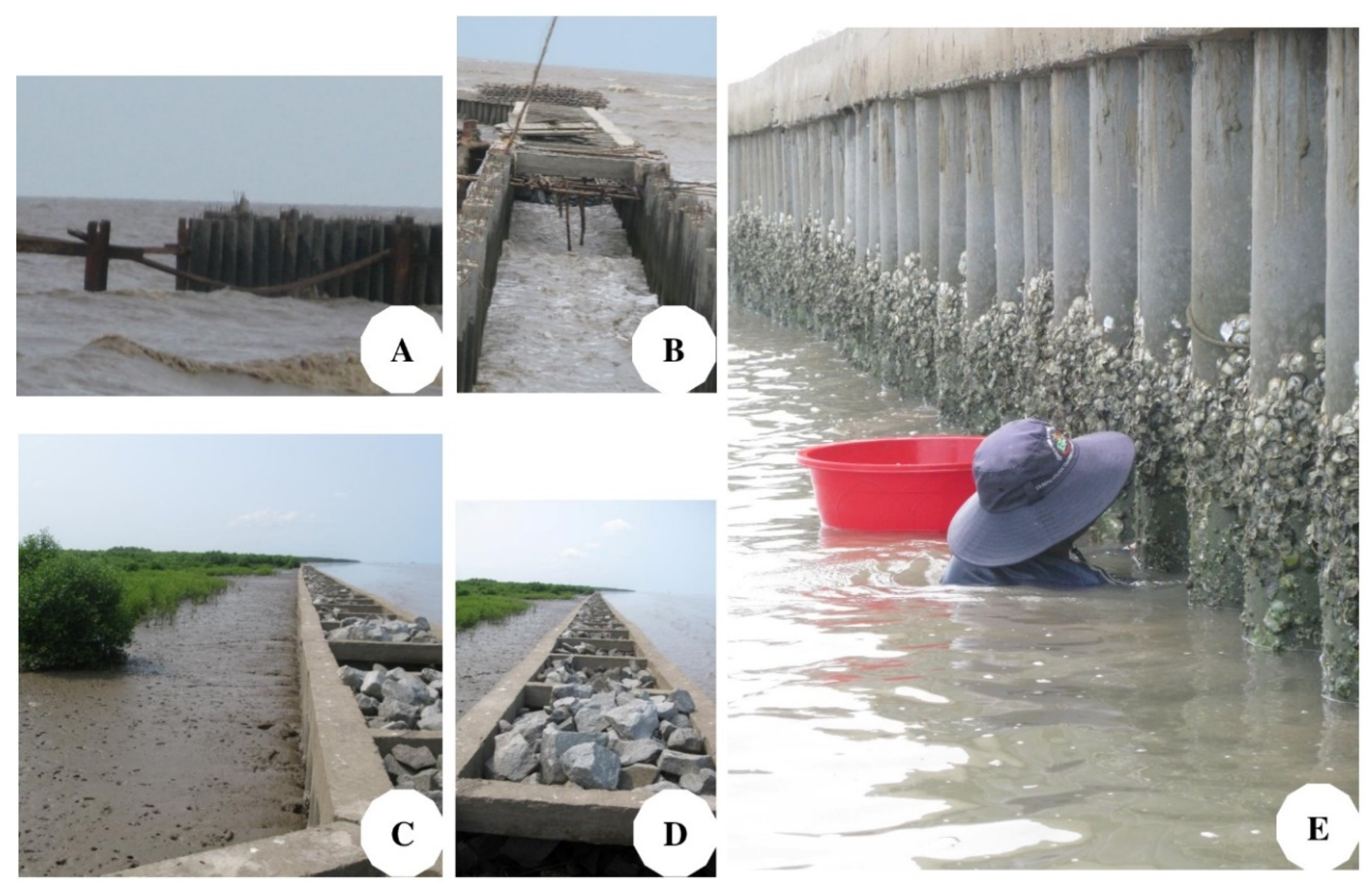 Sustainability 13 04798 g004 Sustainability 13 04798 g004