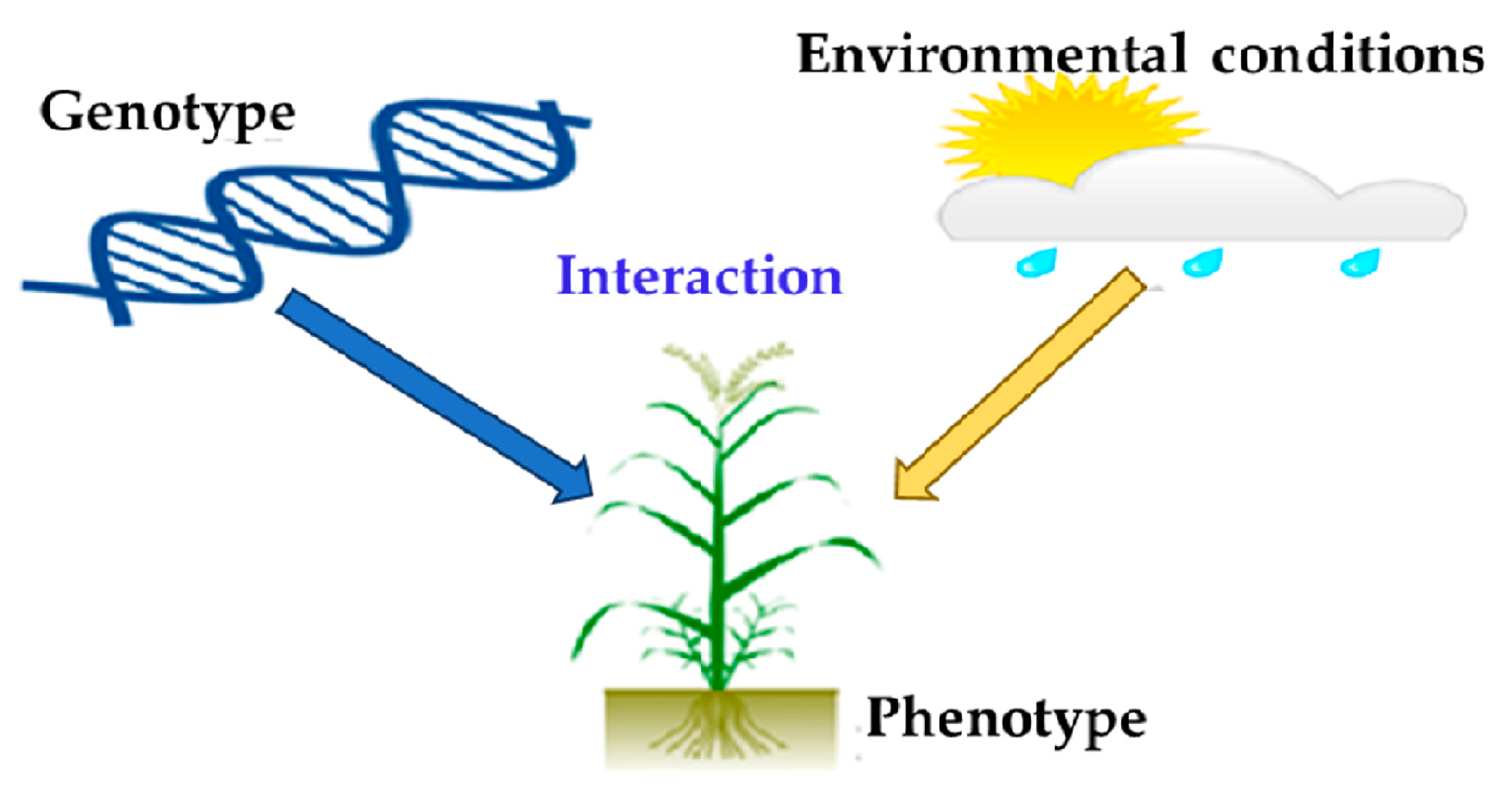 Sustainability 13 04883 g004 Sustainability 13 04883 g004