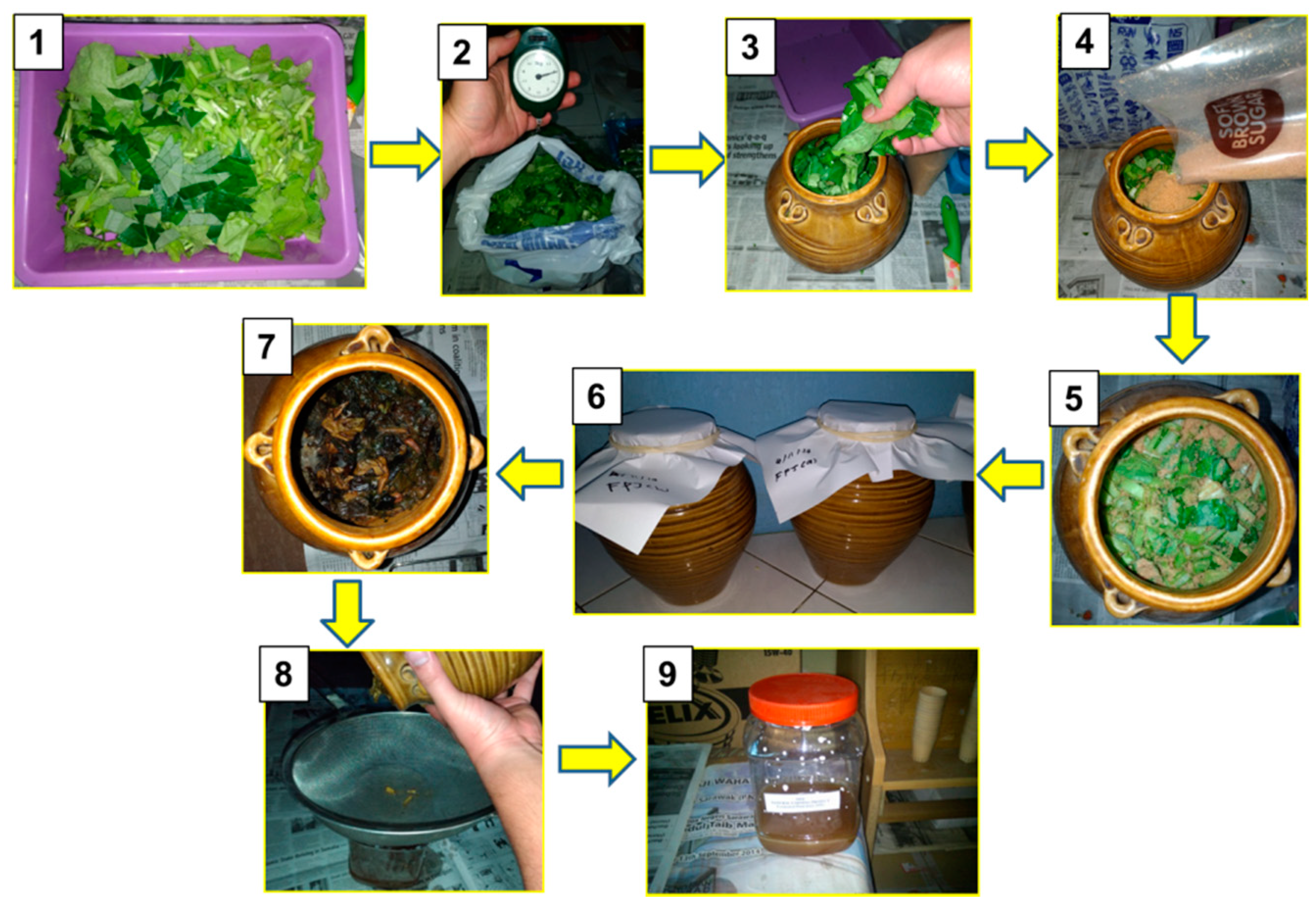 Sustainability Free Full Text Chemical And Biological Characteristics Of Organic Amendments Produced From Selected Agro Wastes With Potential For Sustaining Soil Health A Laboratory Assessment Html