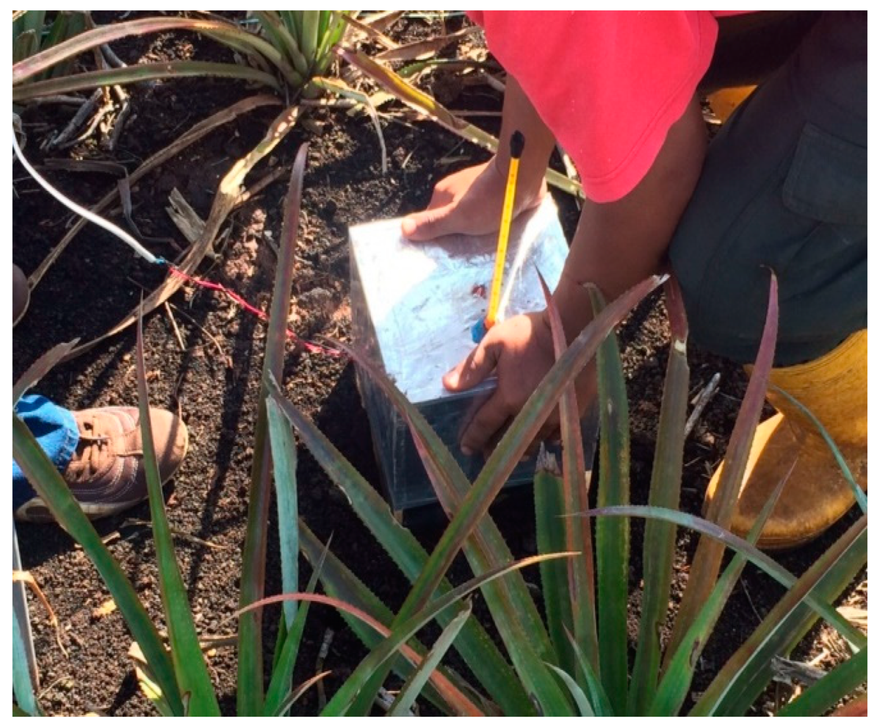 Sustainability 13 04928 g004