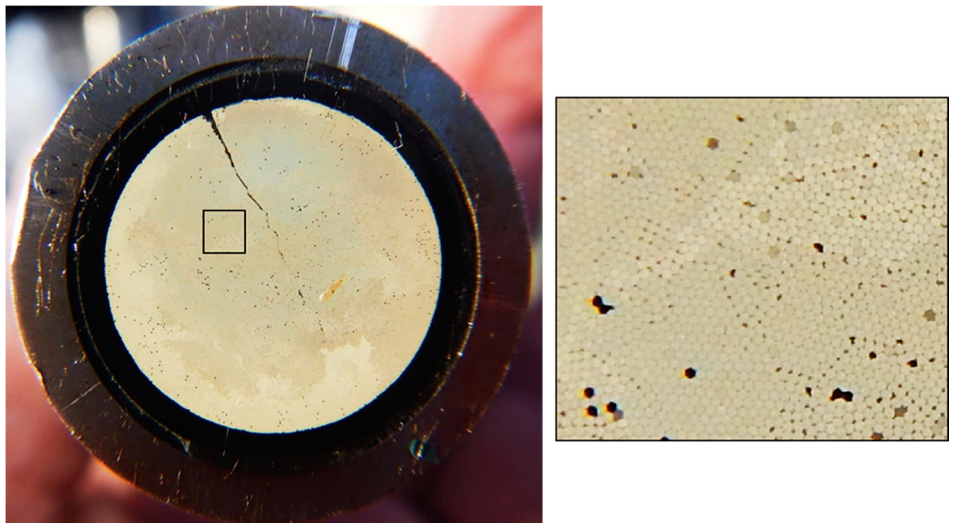 Sustainability 13 04935 g003 Sustainability 13 04935 g003