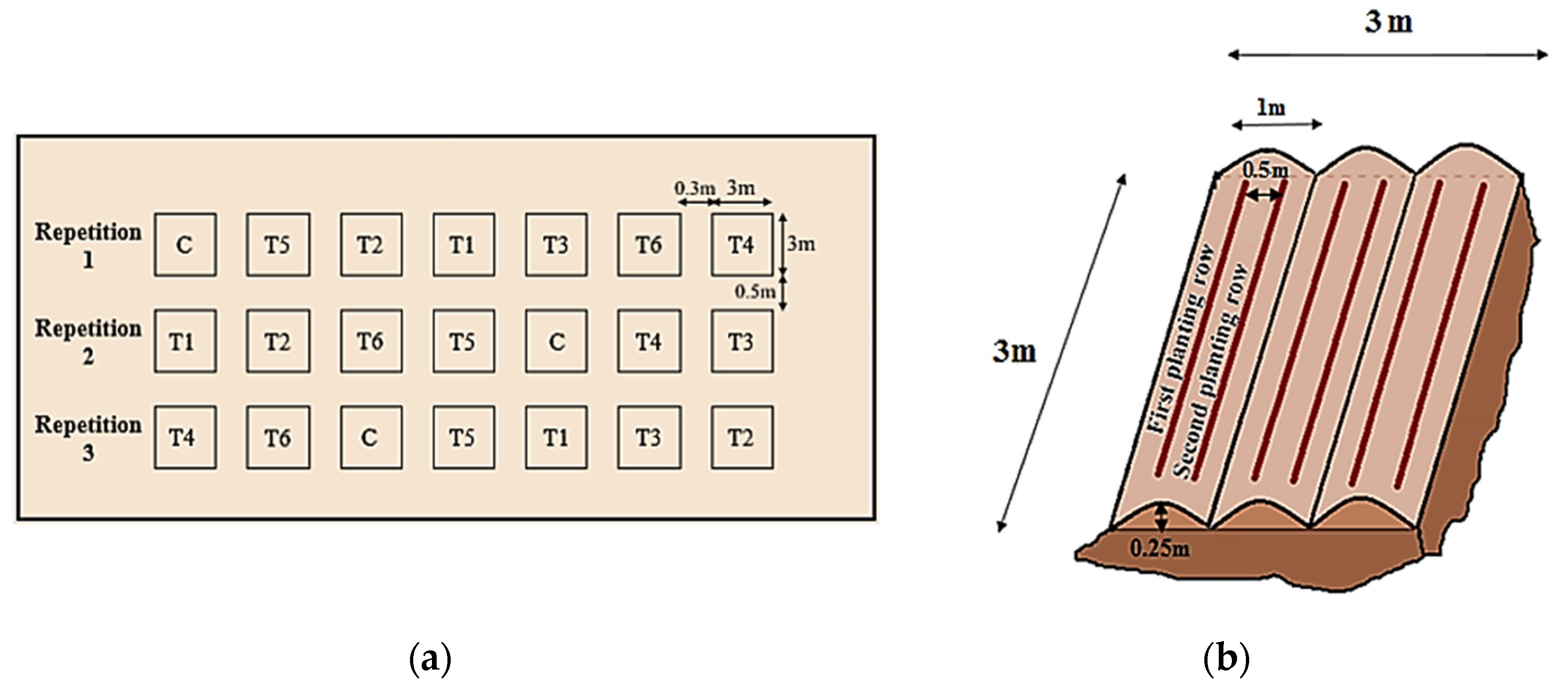 Sustainability 13 04980 g002