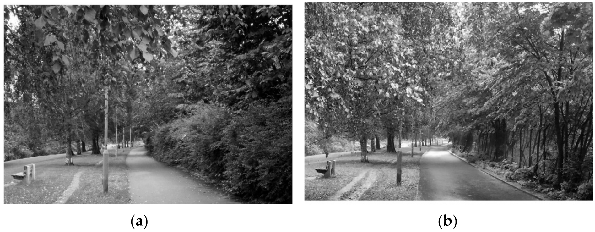 Sustainability 13 05063 g001 Sustainability 13 05063 g001