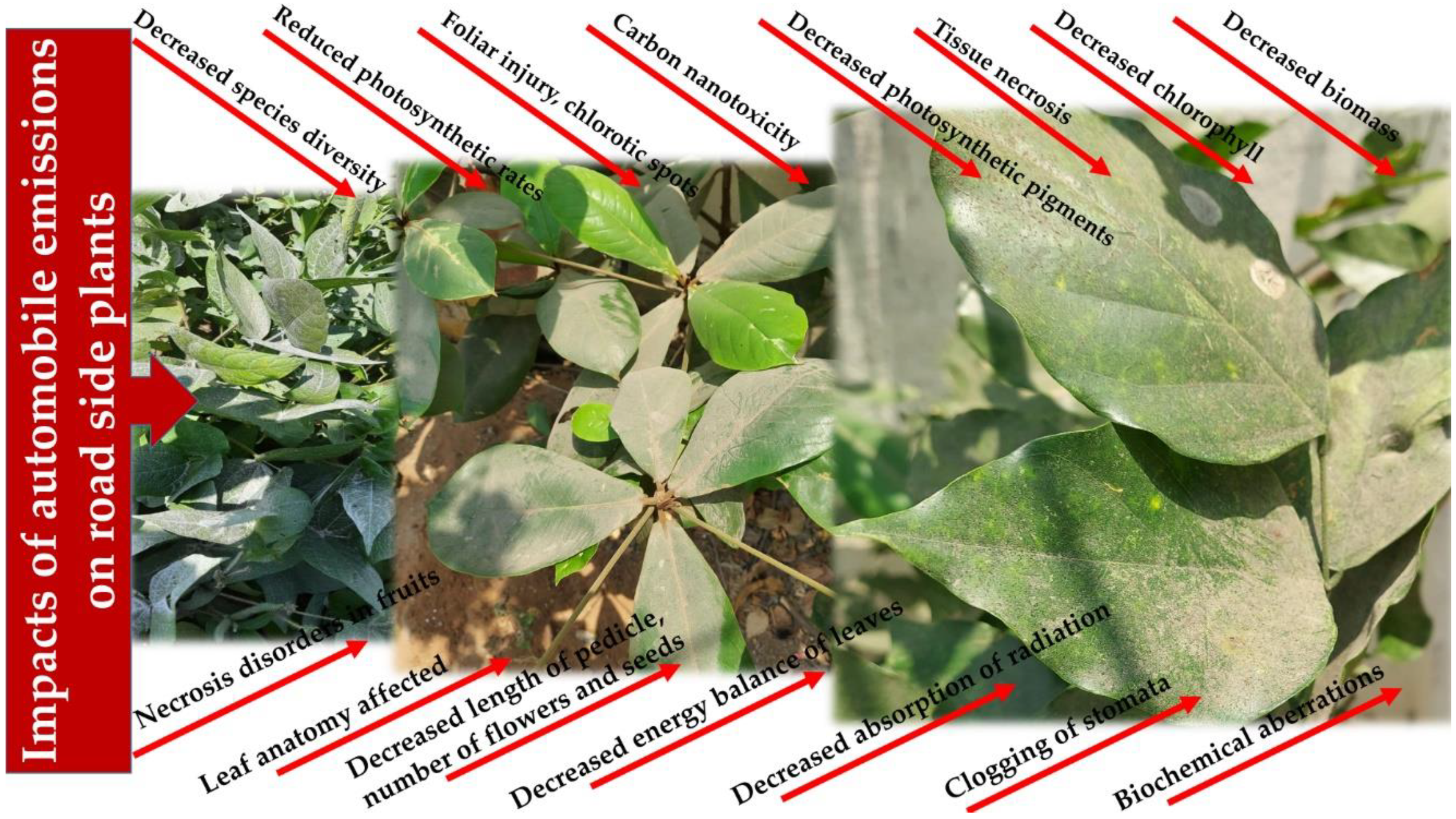 Sustainability 13 05114 g002 Sustainability 13 05114 g002