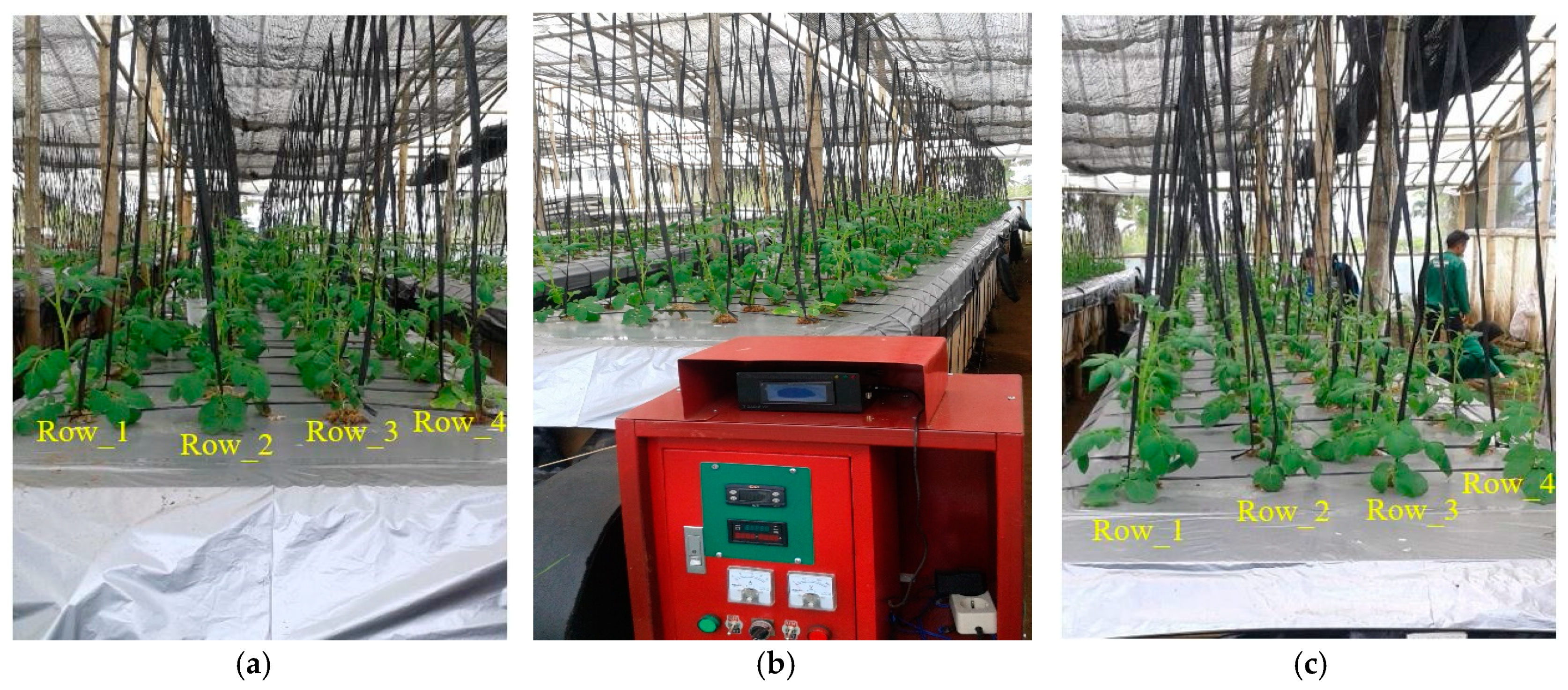 Sustainability 13 05140 g013
