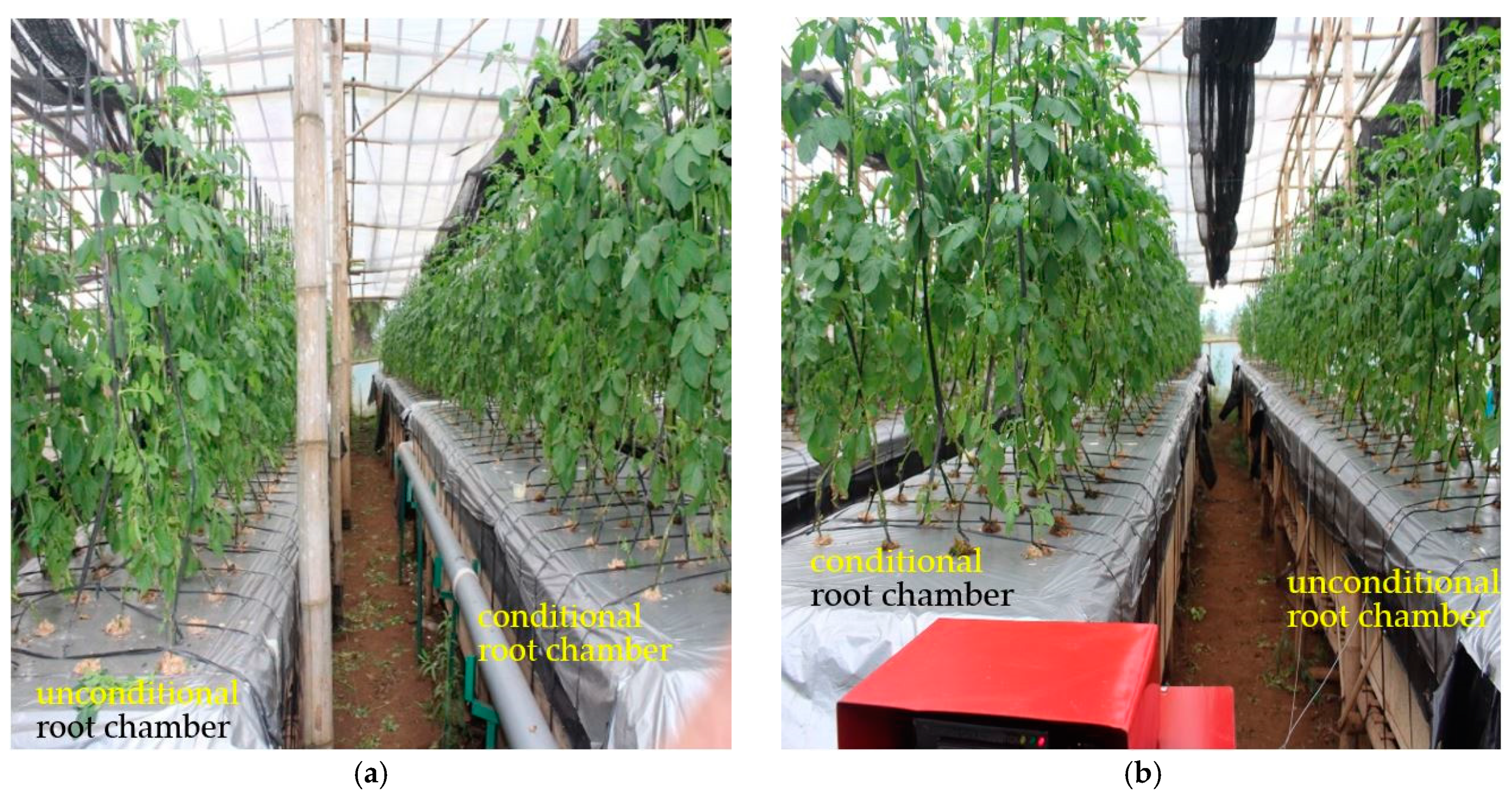 Sustainability 13 05140 g015