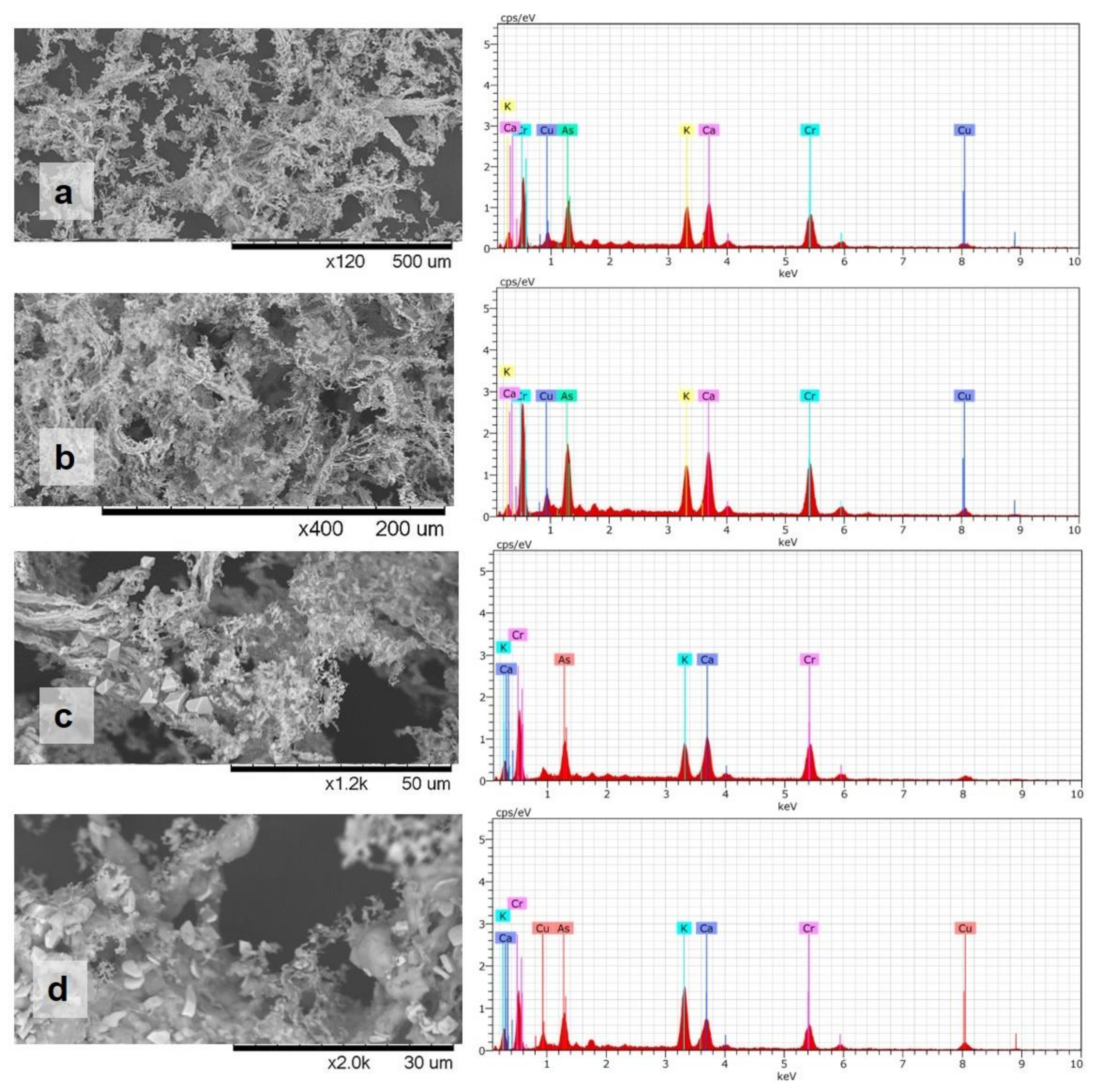 Sustainability 13 05161 g010