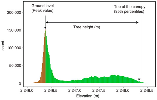 Sustainability Free Full Text Applicability Of Structure From Motion Photogrammetry On Forest Measurement In The Northern Ethiopian Highlands Html