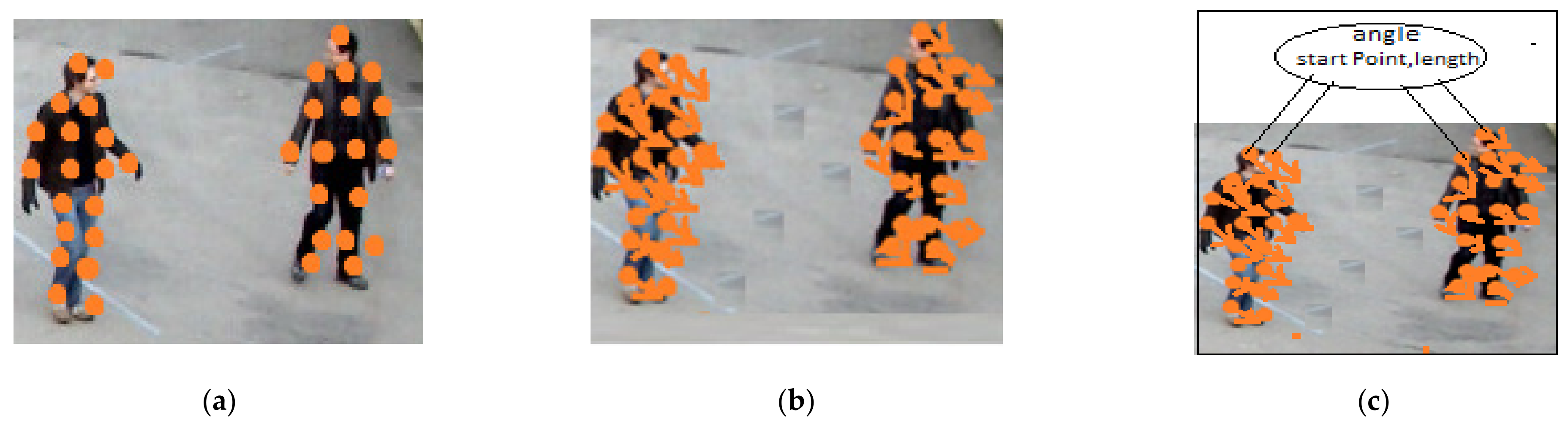 Sustainability 13 05367 g006