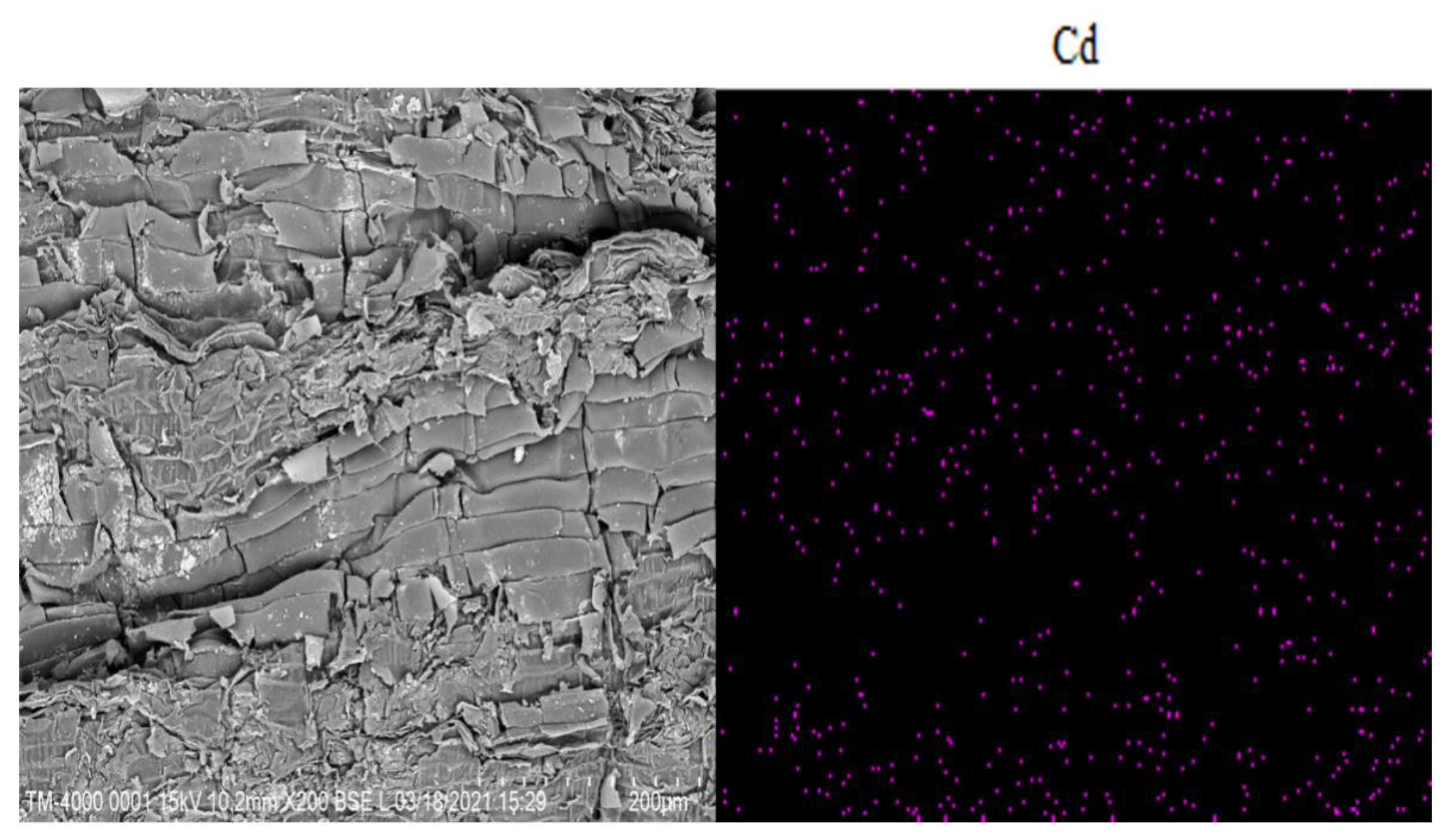 Sustainability 13 05381 g006 Sustainability 13 05381 g006