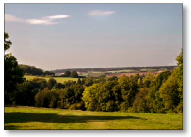 Sustainability 13 05419 i003