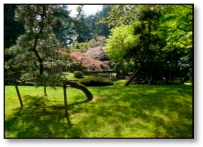 Sustainability 13 05419 i007