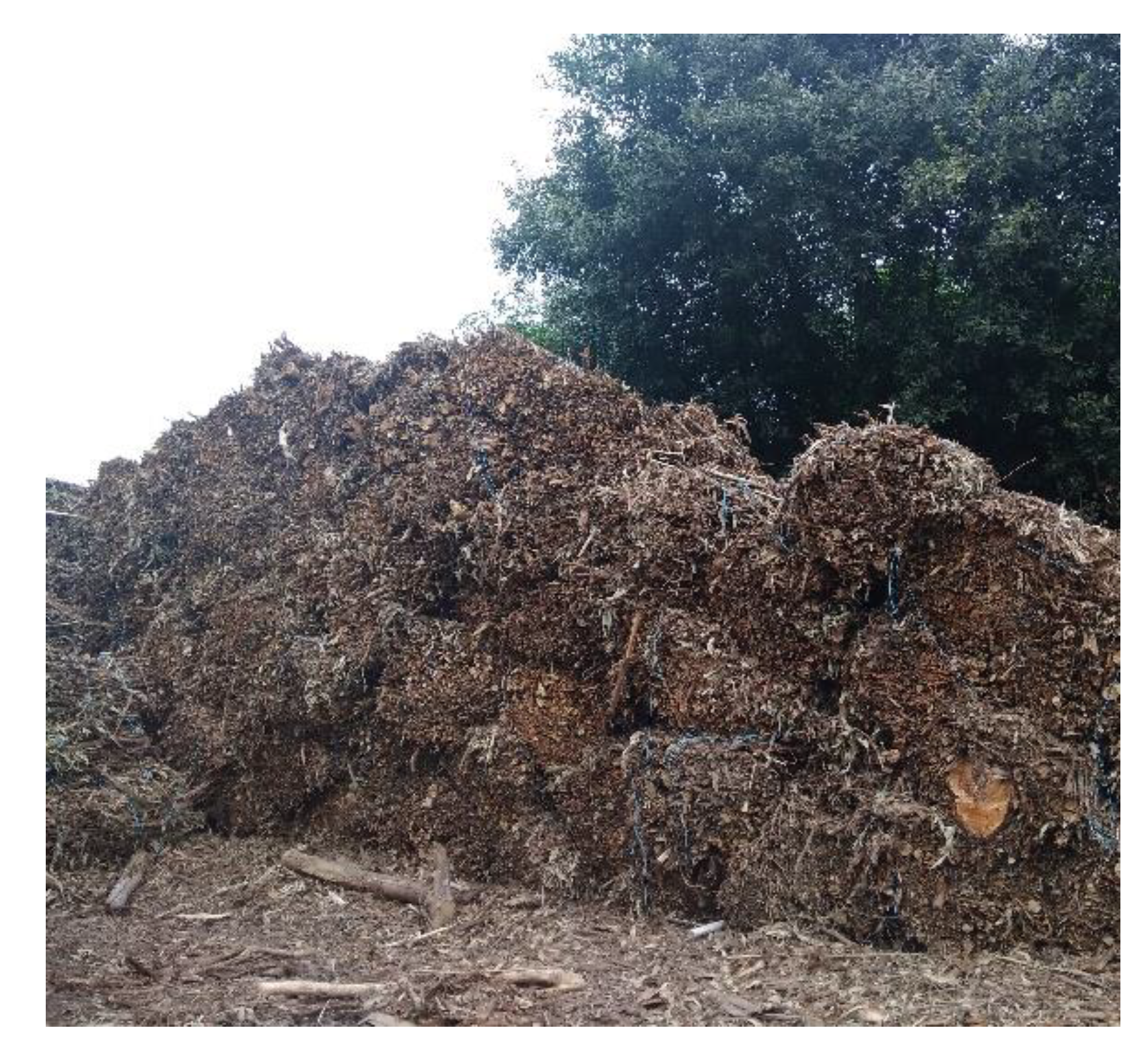 Sustainability 13 05442 g003 Sustainability 13 05442 g003