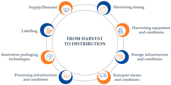 Sustainability Special Issue National Food Loss And Waste Prevention Strategies And Monitoring Approaches An Interdisciplinary Challenge For Decision Makers Researchers And Practice