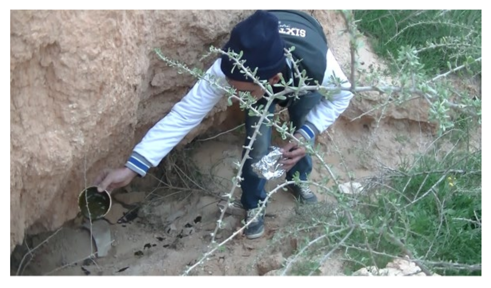 Sustainability 13 05479 g003 550