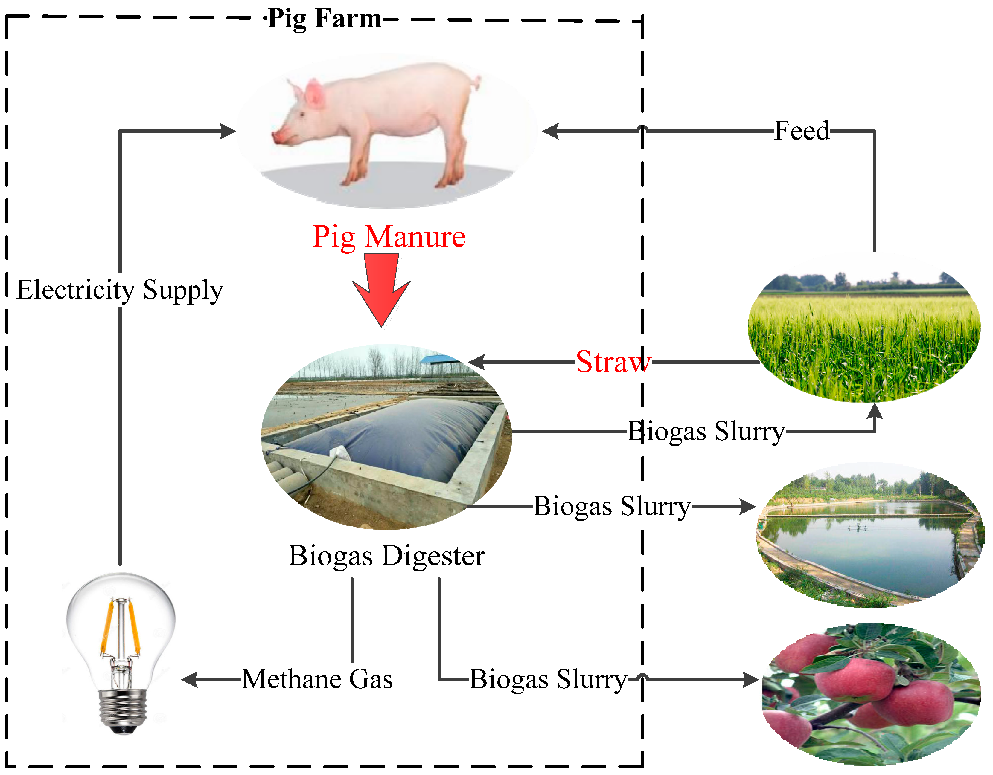 Sustainability | Free Full-Text | Agricultural Waste Recycling Optimization  of Family Farms Based on Environmental Management Accounting in Rural China