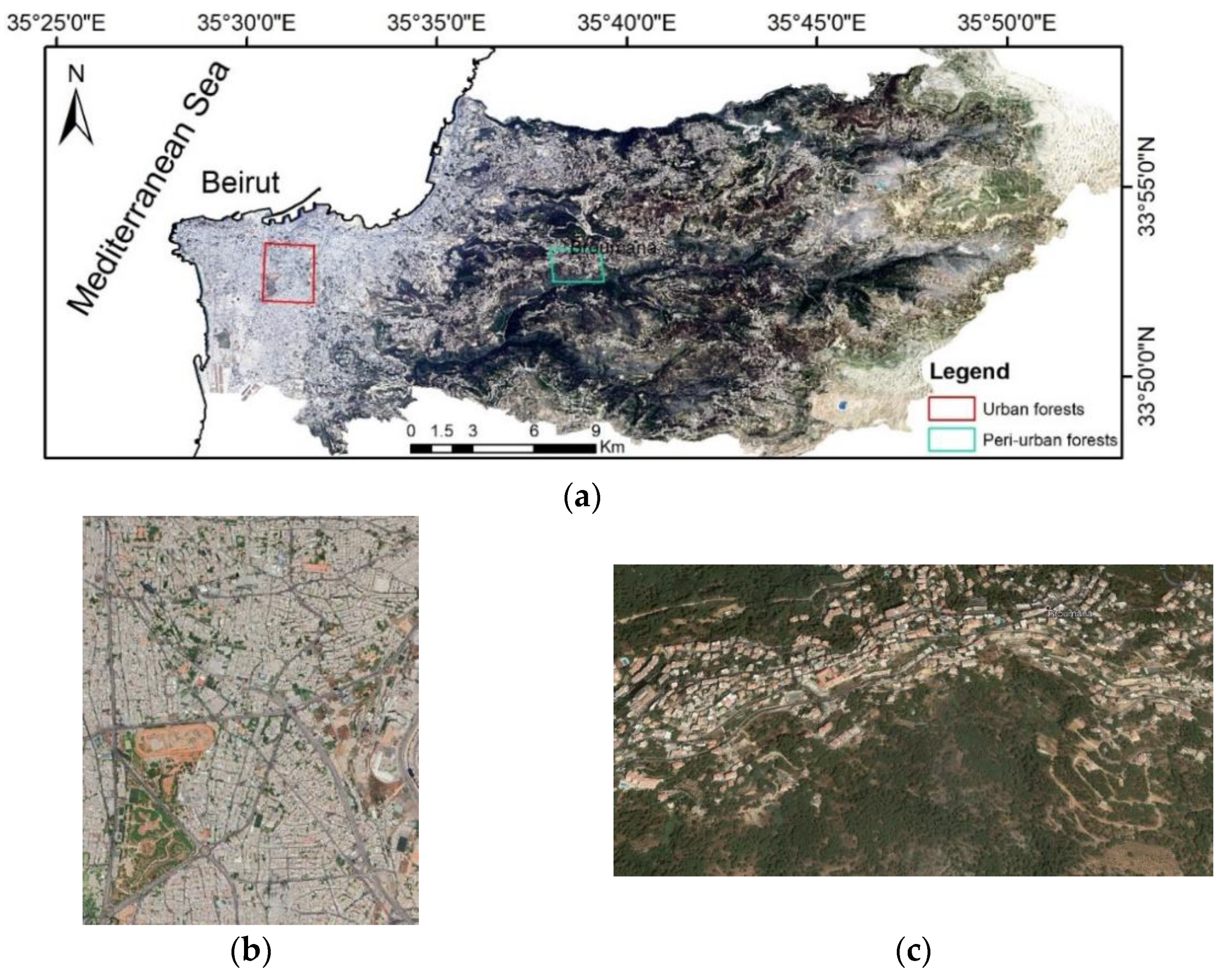 Sustainability 13 05548 g001