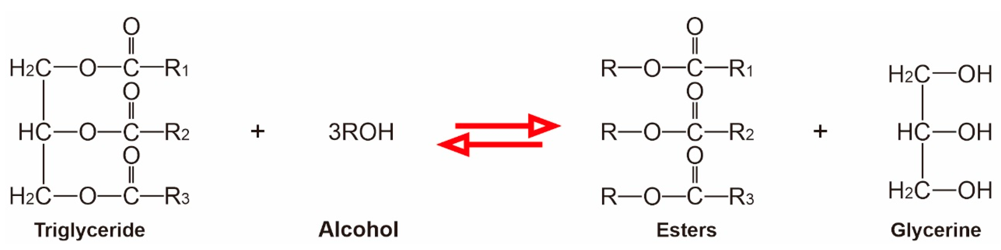 Sustainability 13 05599 g003