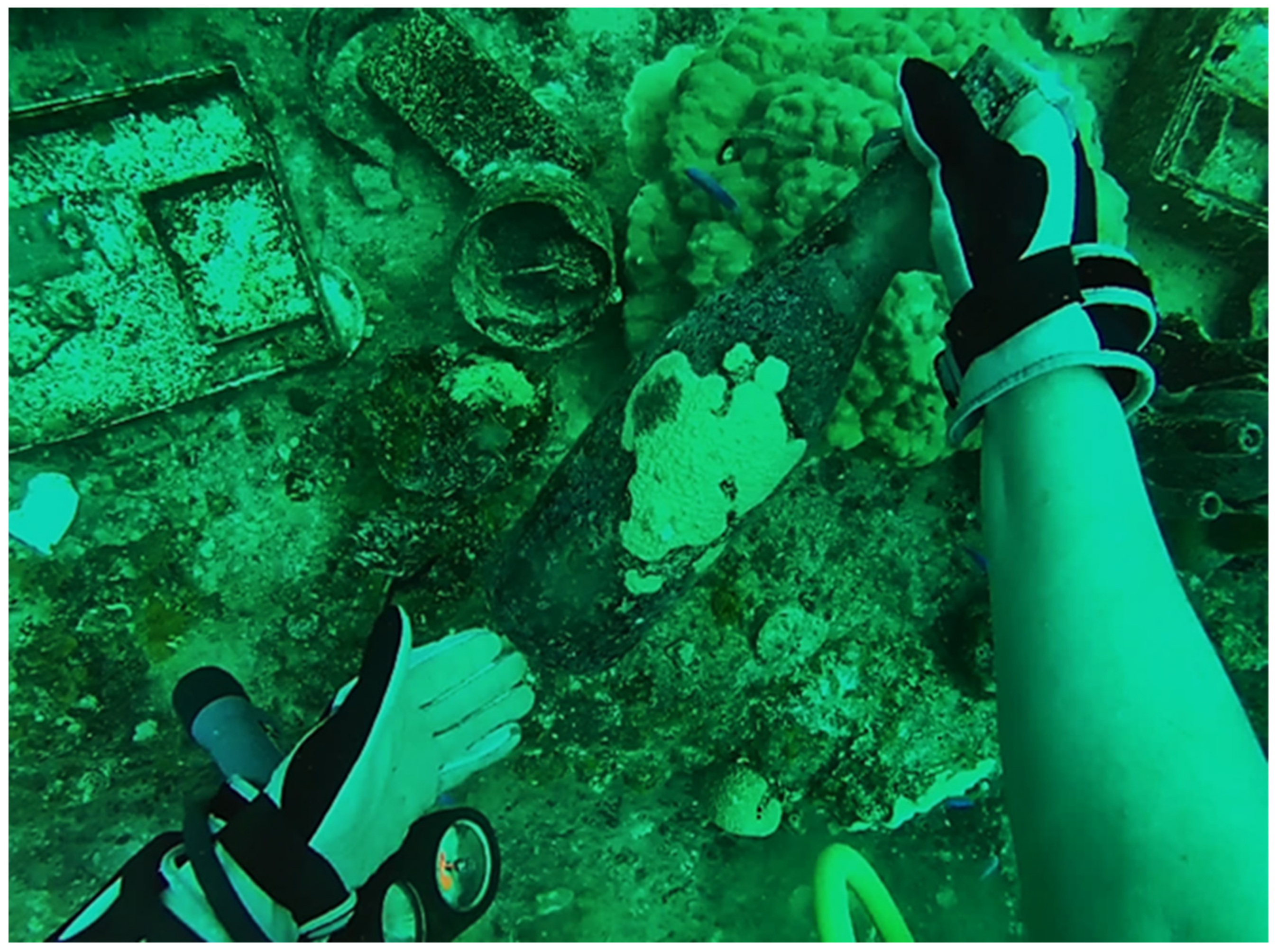 Sustainability 13 05601 g002