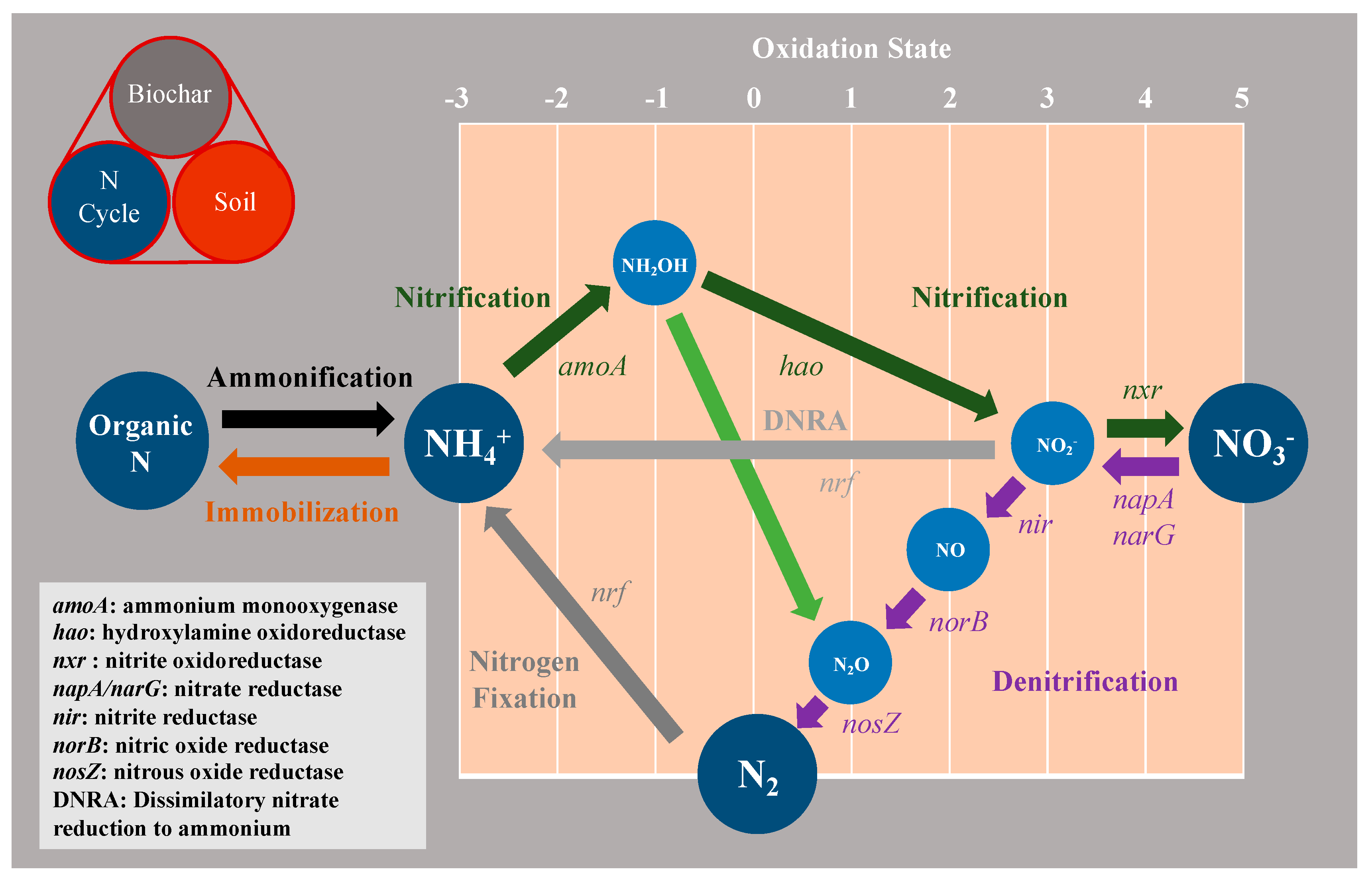 Sustainability 13 05612 g004