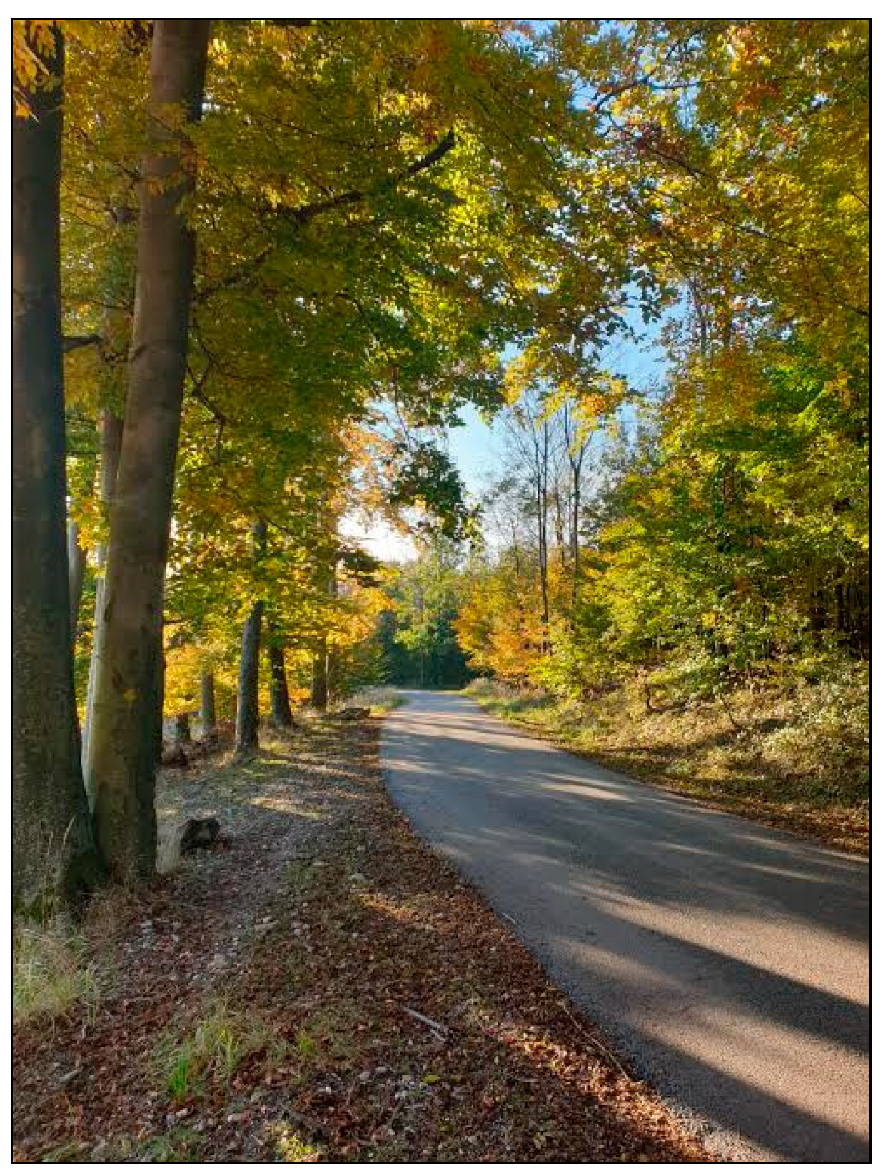 Sustainability 13 05622 g005