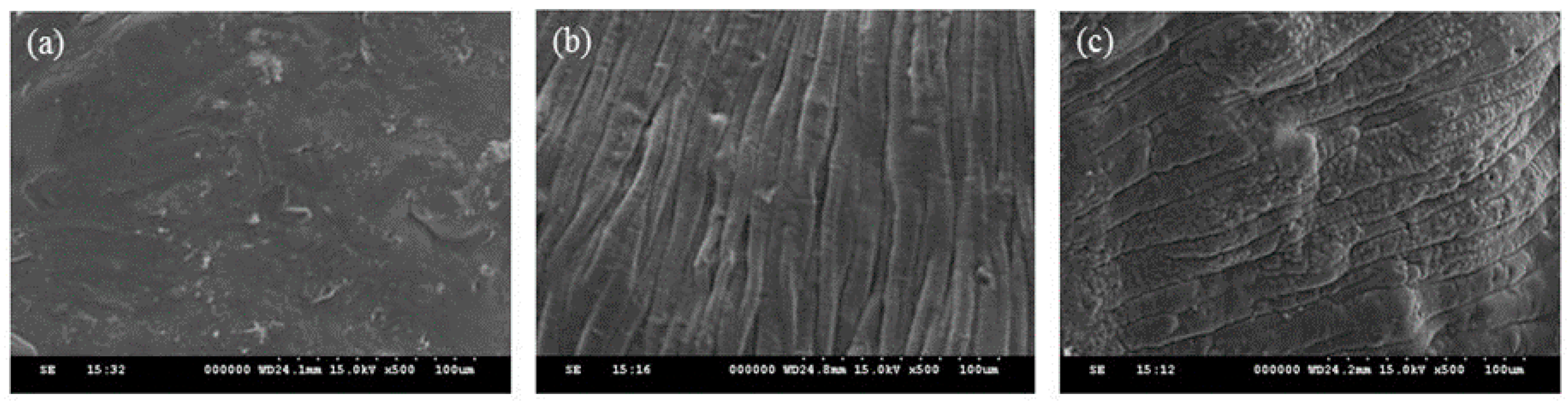 Sustainability 13 05640 g002