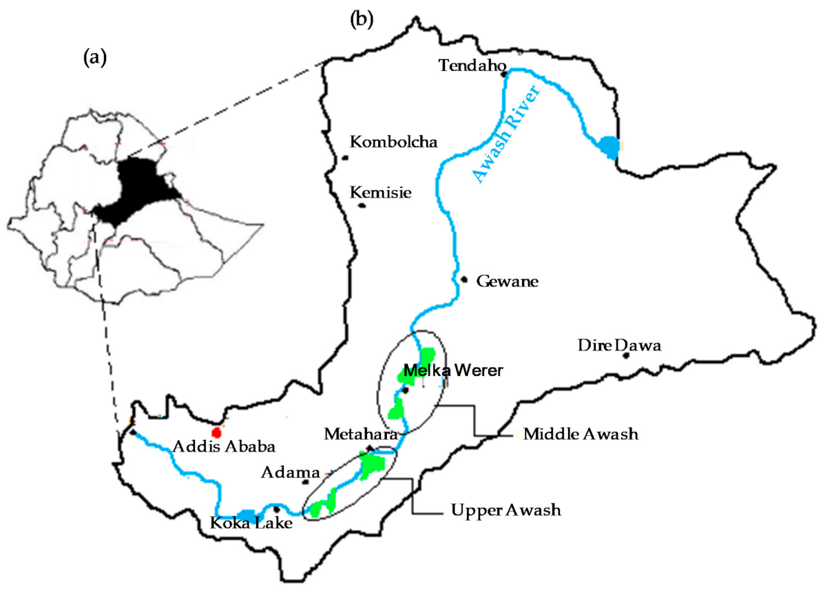 Sustainability Free FullText Trend, Status, and Challenges of