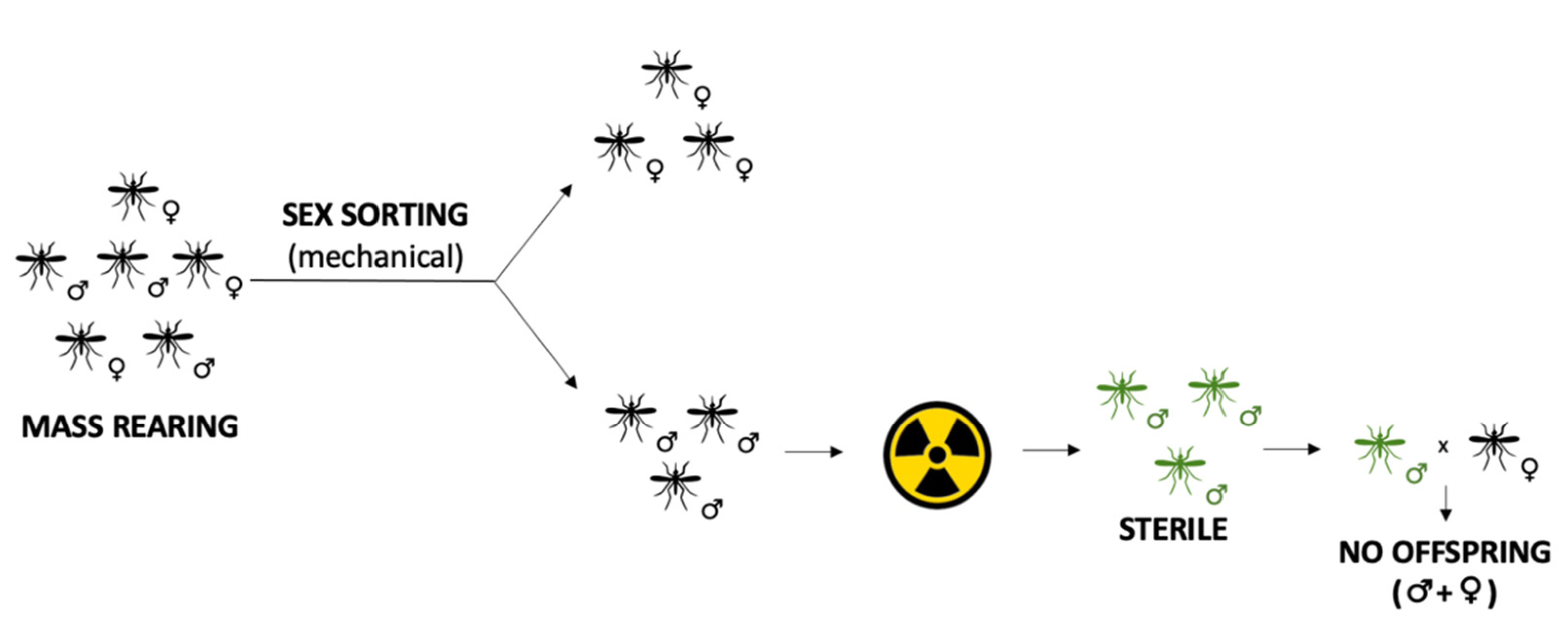 Sustainability Free Full Text Genetic Technologies For Sustainable Management Of Insect Pests And Disease Vectors Html Sustainability Free Full Text Genetic Technologies For Sustainable Management Of Insect Pests And Disease Vectors Html