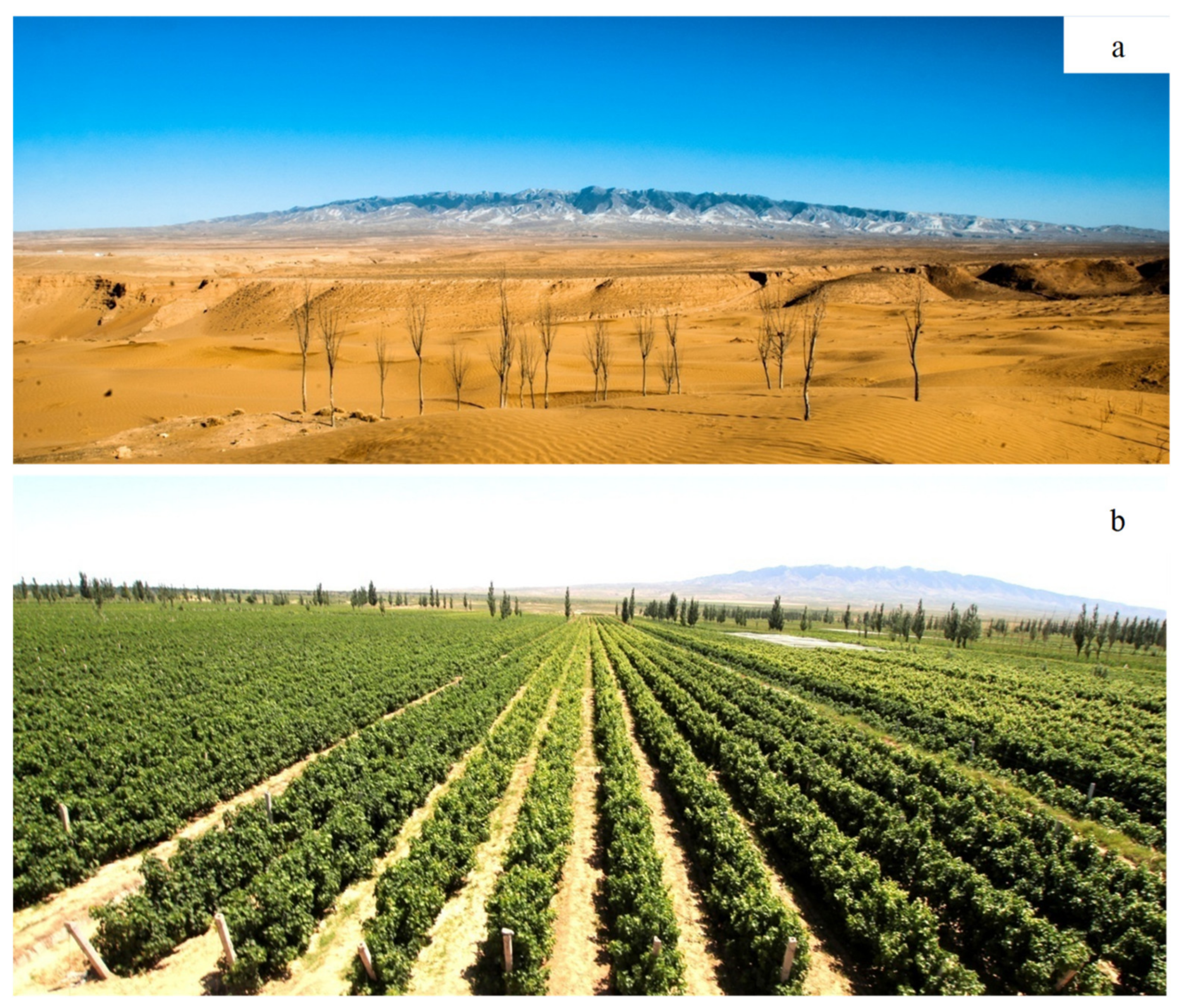 Sustainability 13 05654 g003 Sustainability 13 05654 g003