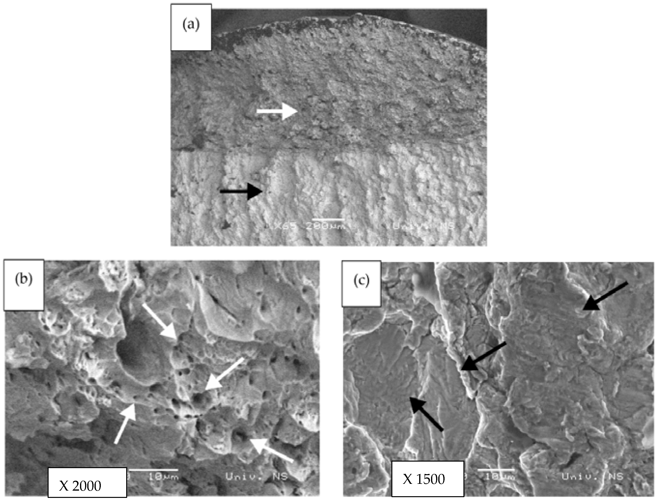 Sustainability 13 05675 g008 Sustainability 13 05675 g008