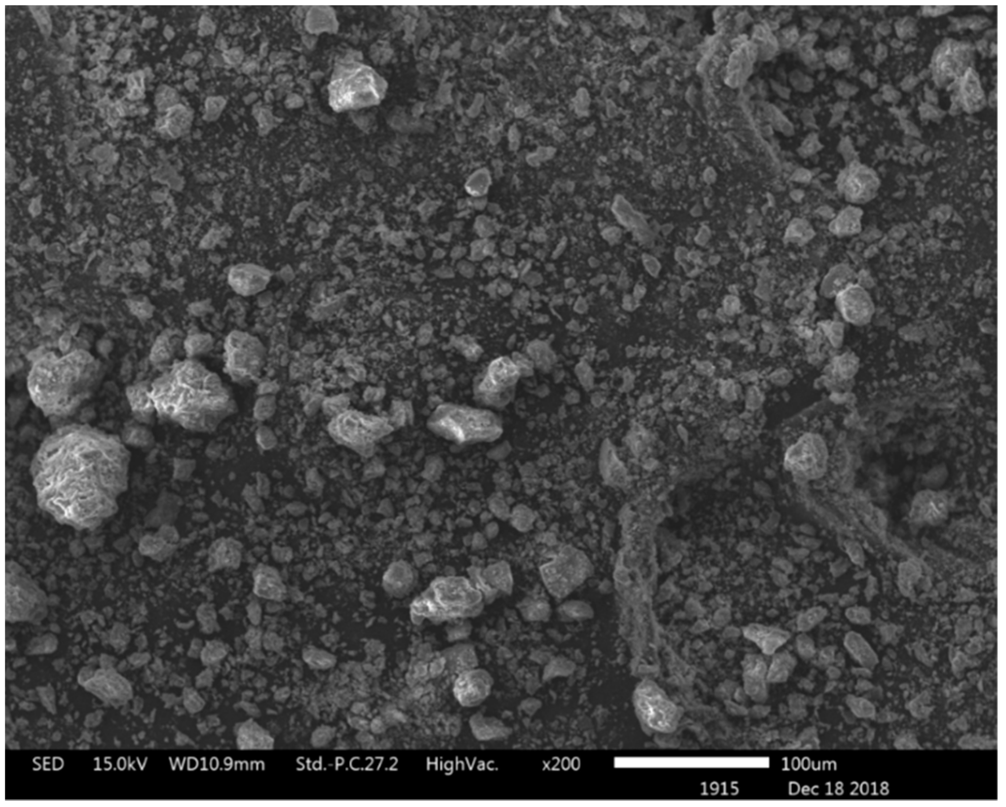 Sustainability 13 05681 g003