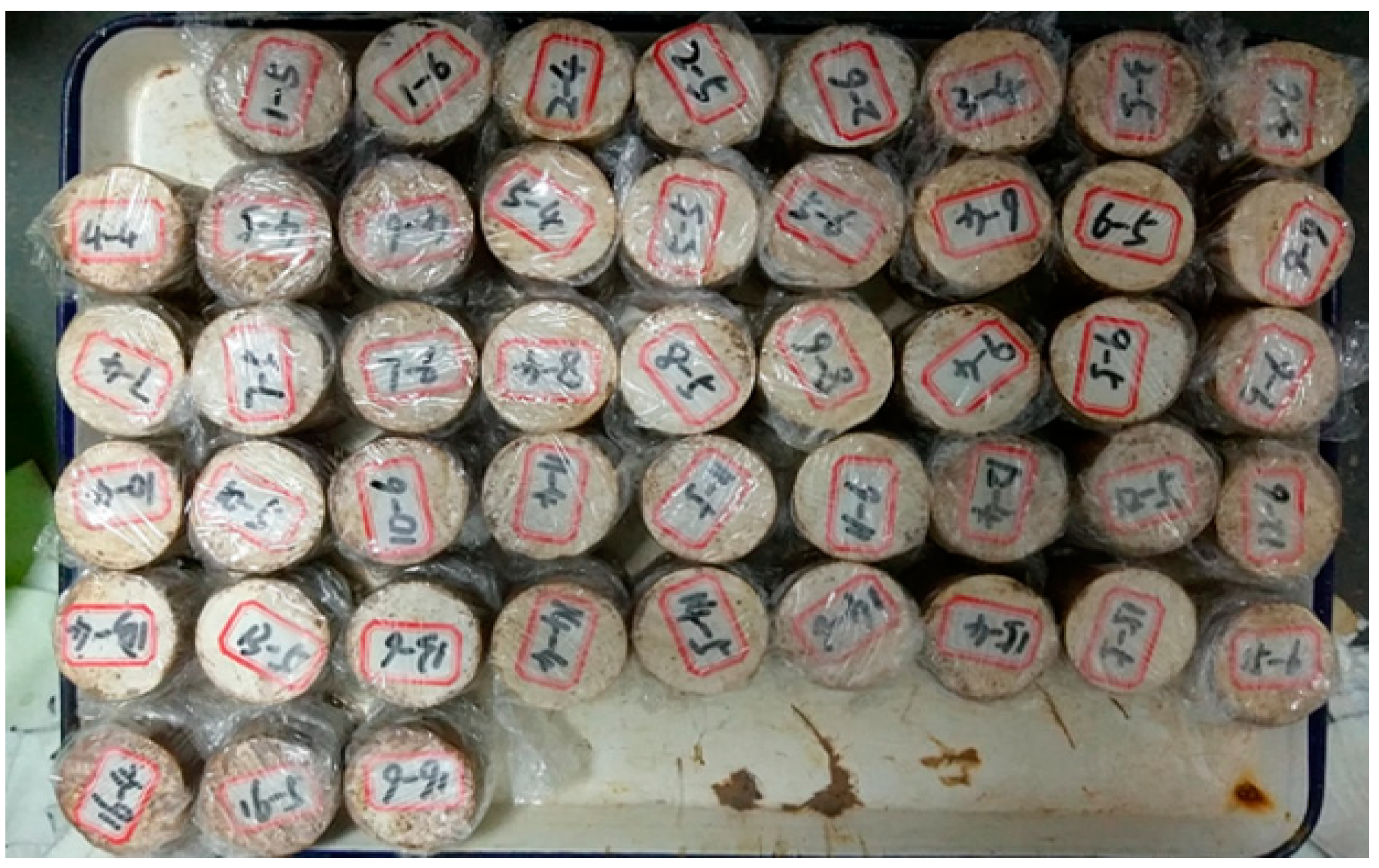 Sustainability 13 05681 g004