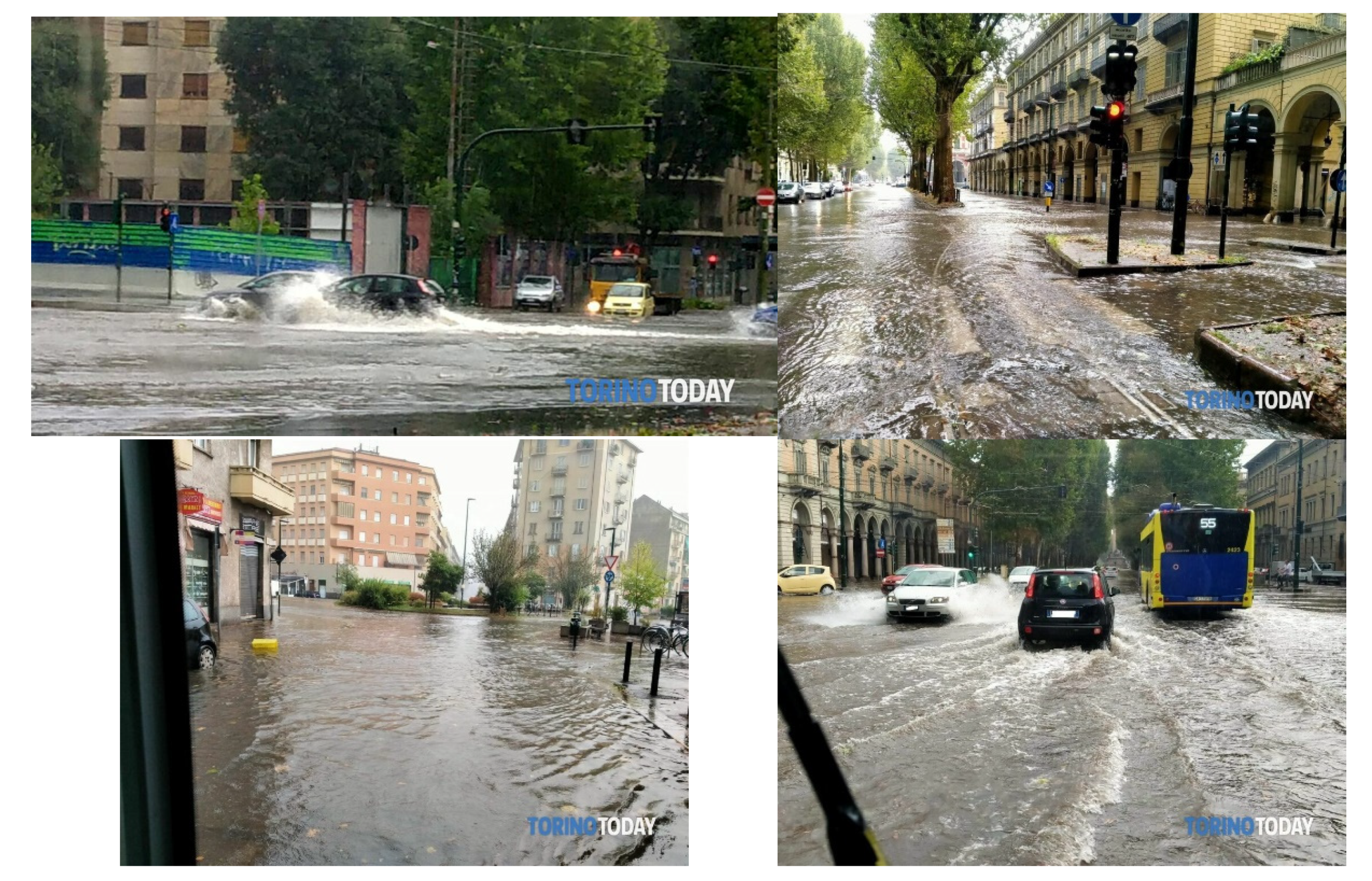 Sustainability 13 05697 g002