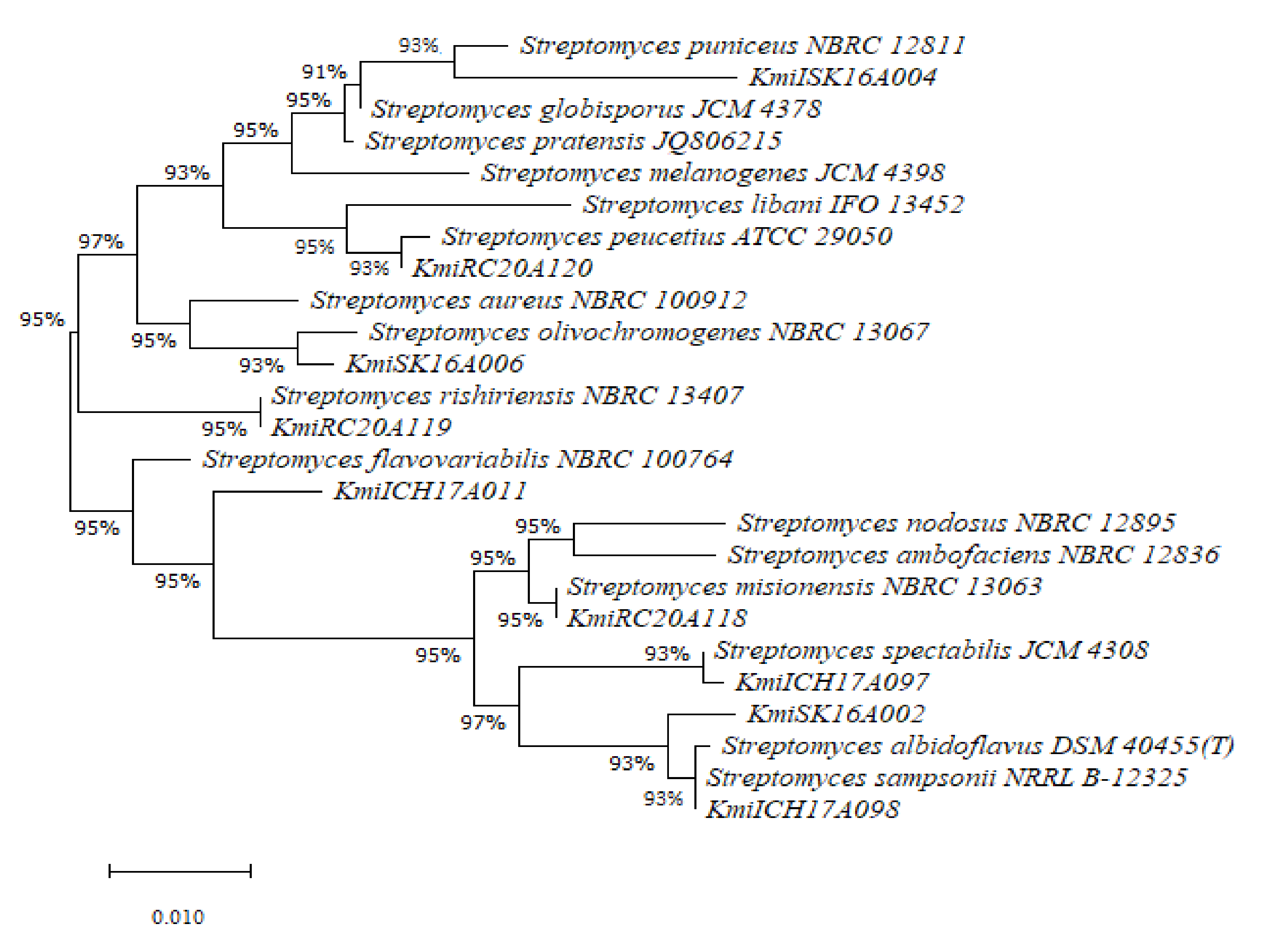 Sustainability 13 05704 g001