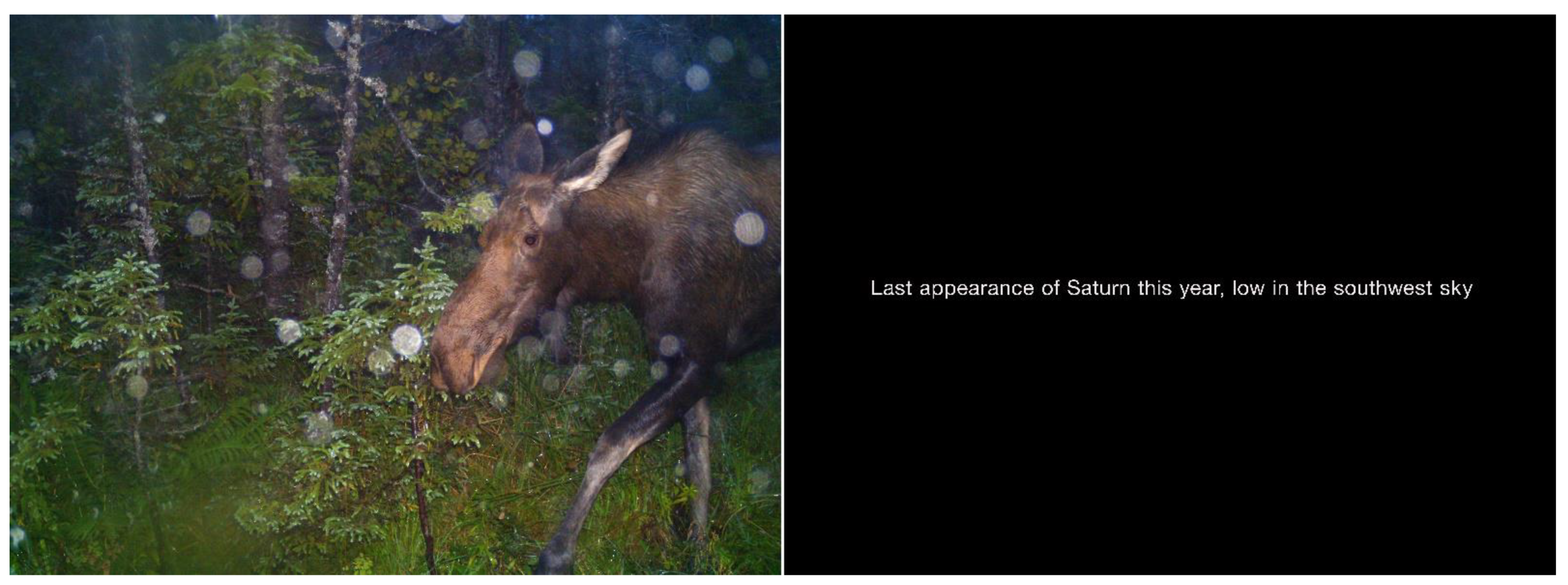 Sustainability 13 05729 g006