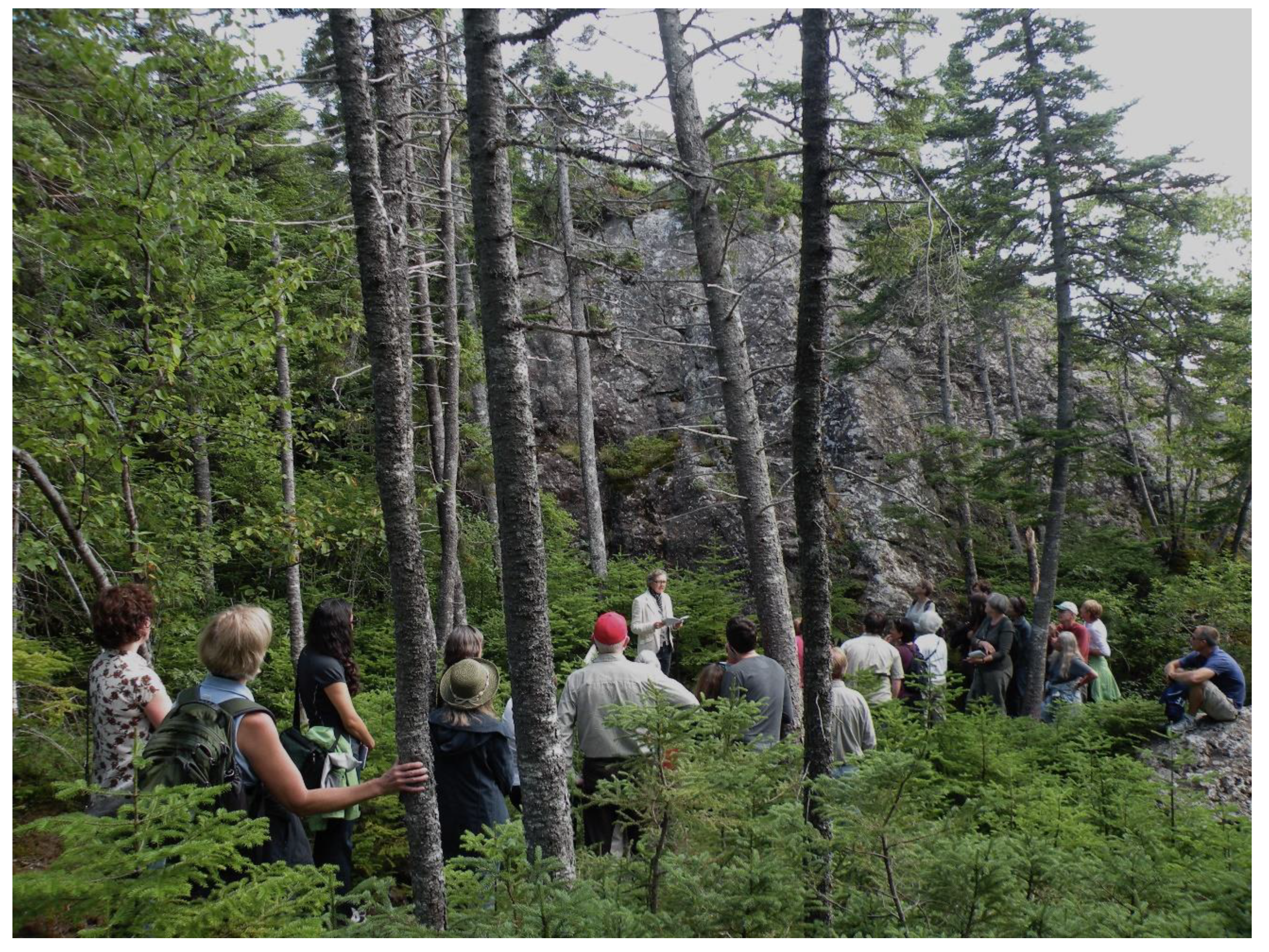 Sustainability 13 05729 g007