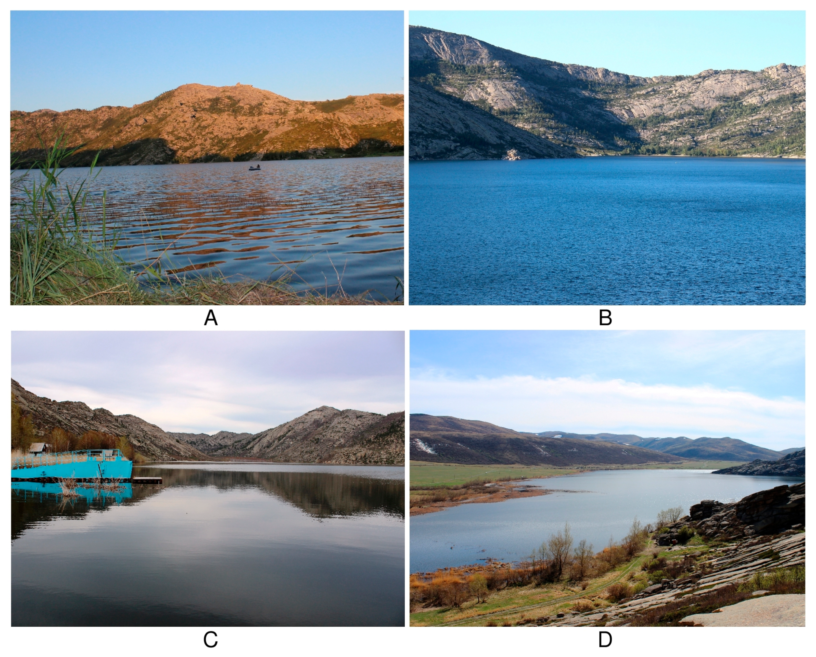 Sustainability 13 05756 g003