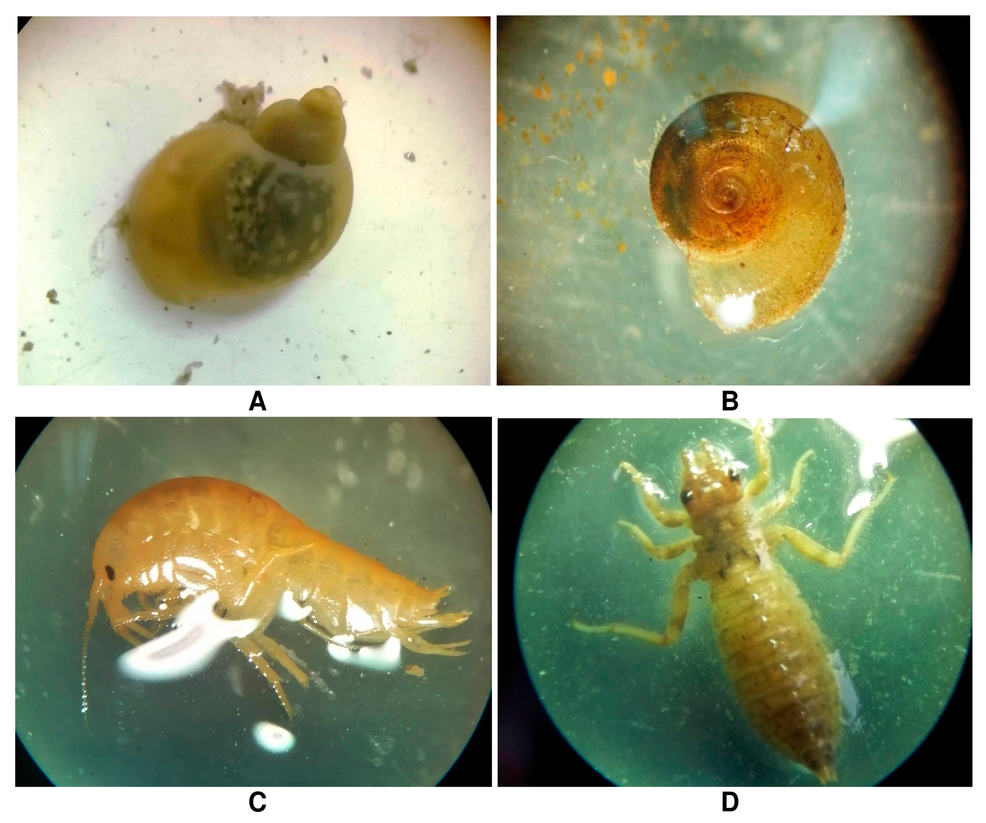 Sustainability 13 05756 g007