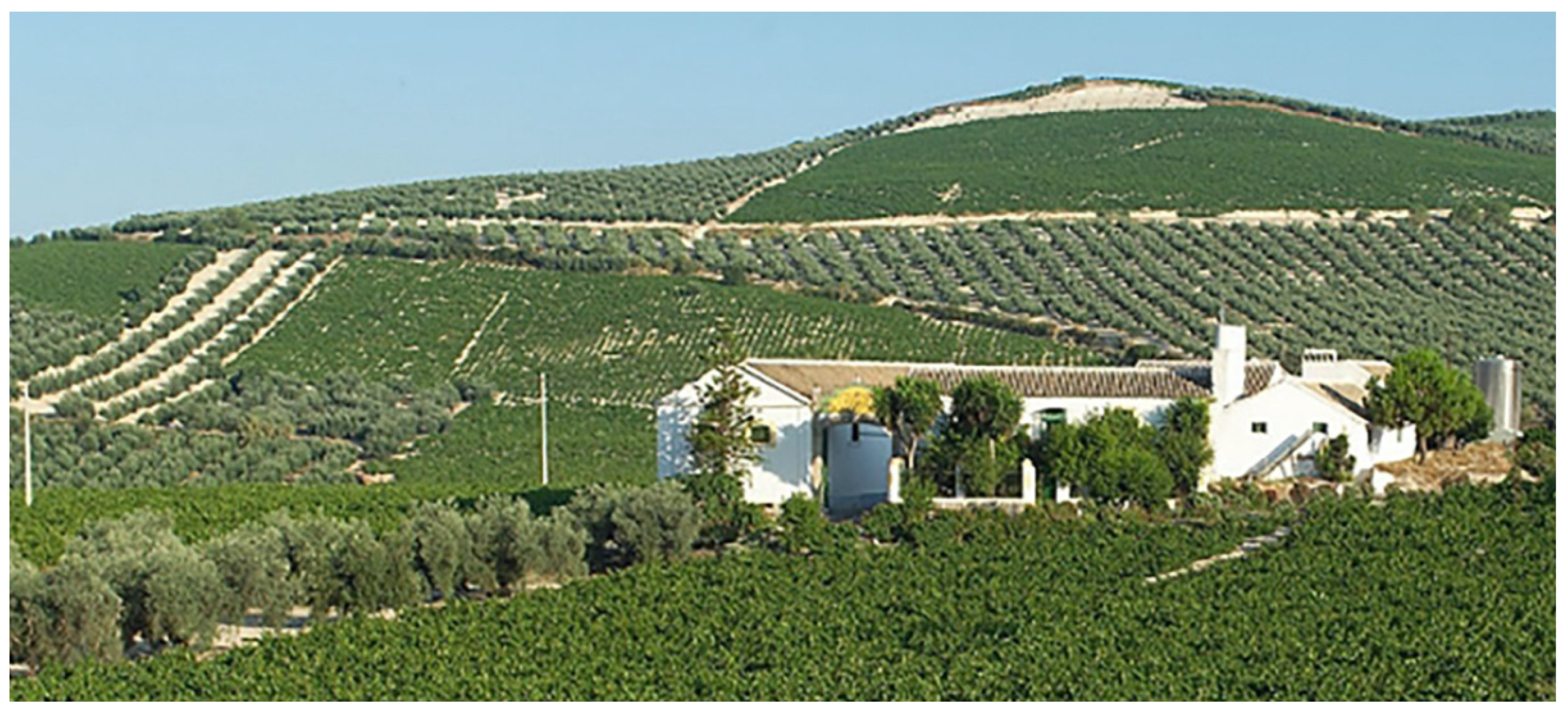 Sustainability 13 05791 g005