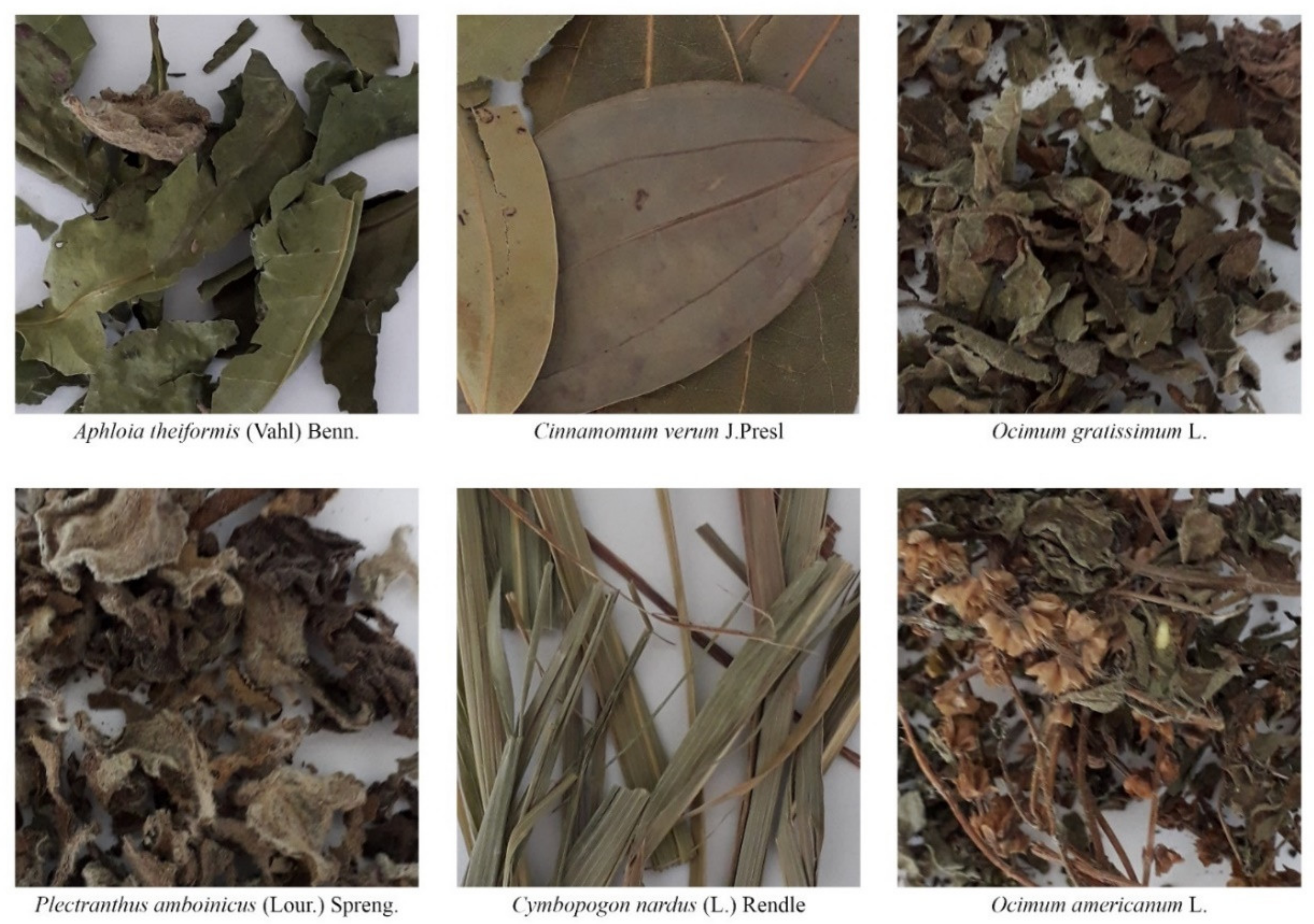 Sustainability 13 05815 g001